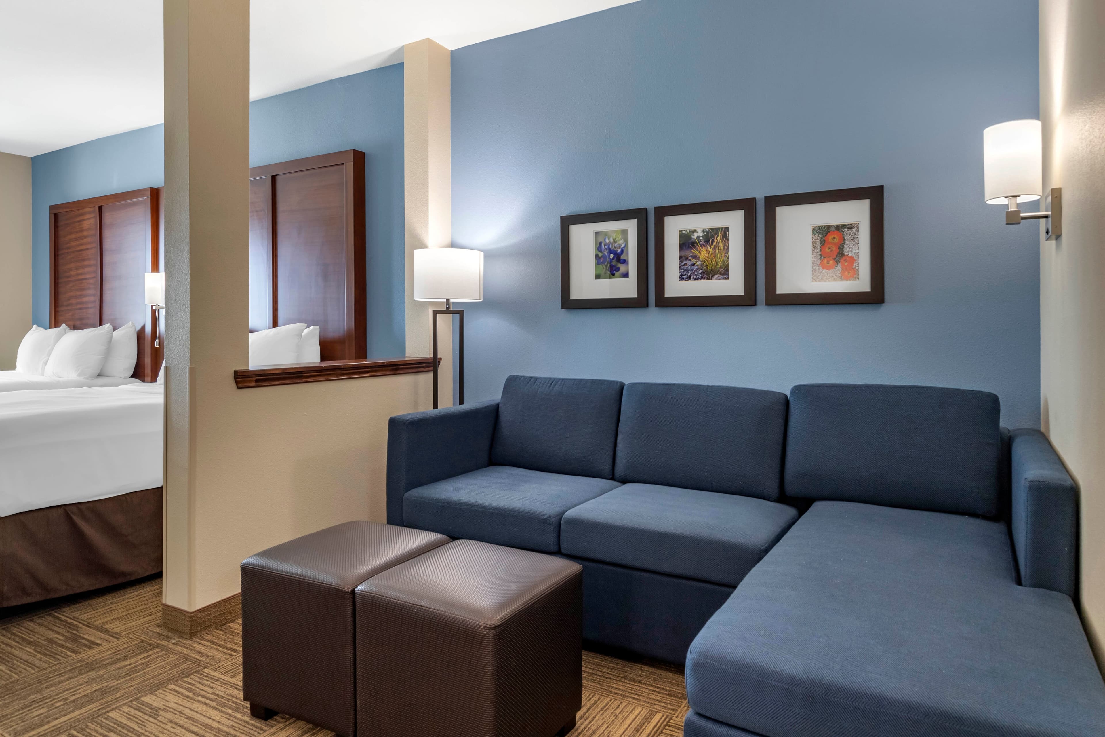 Comfort Suites Cedar Park - Austin Northwest — 8