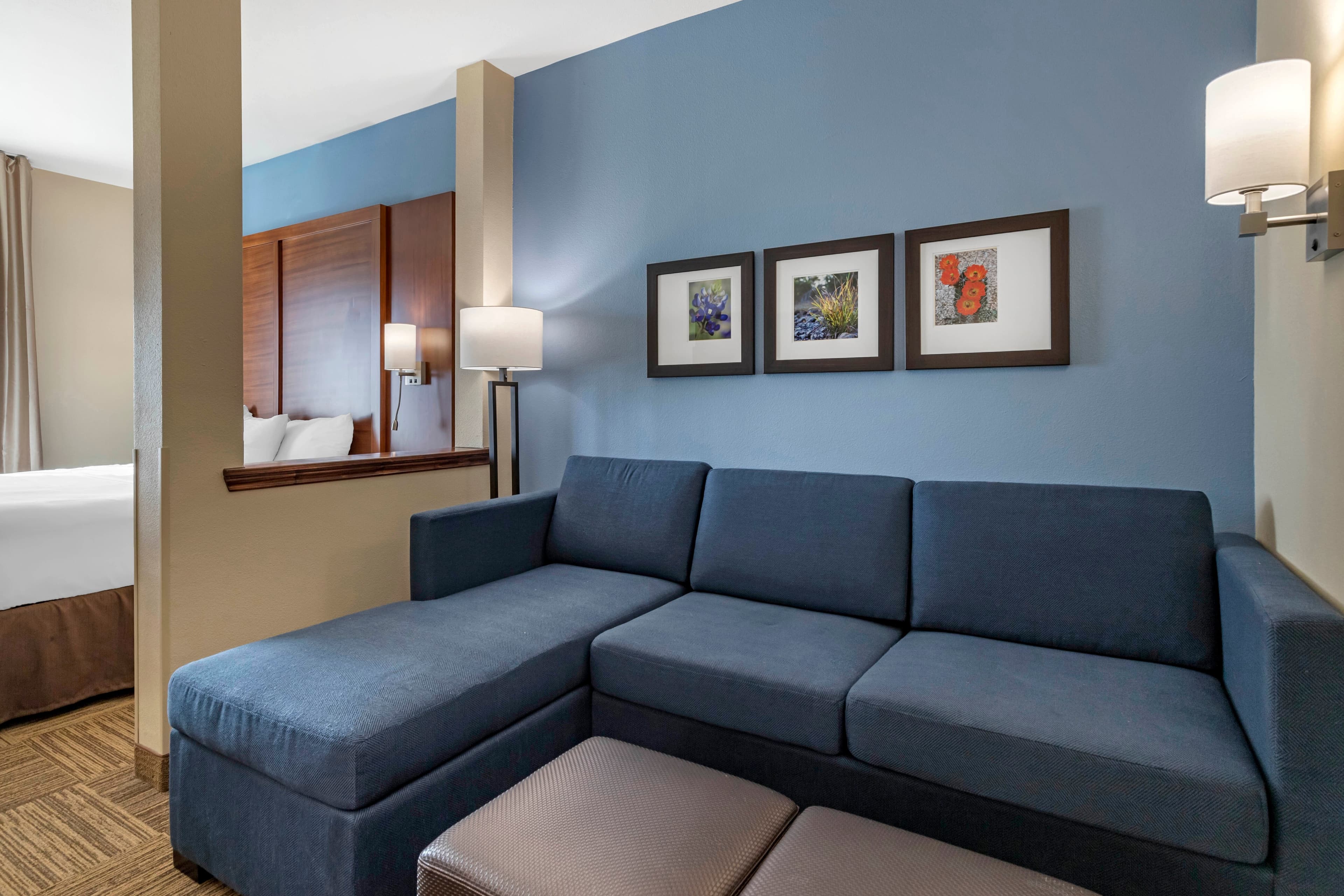Comfort Suites Cedar Park - Austin Northwest — 10