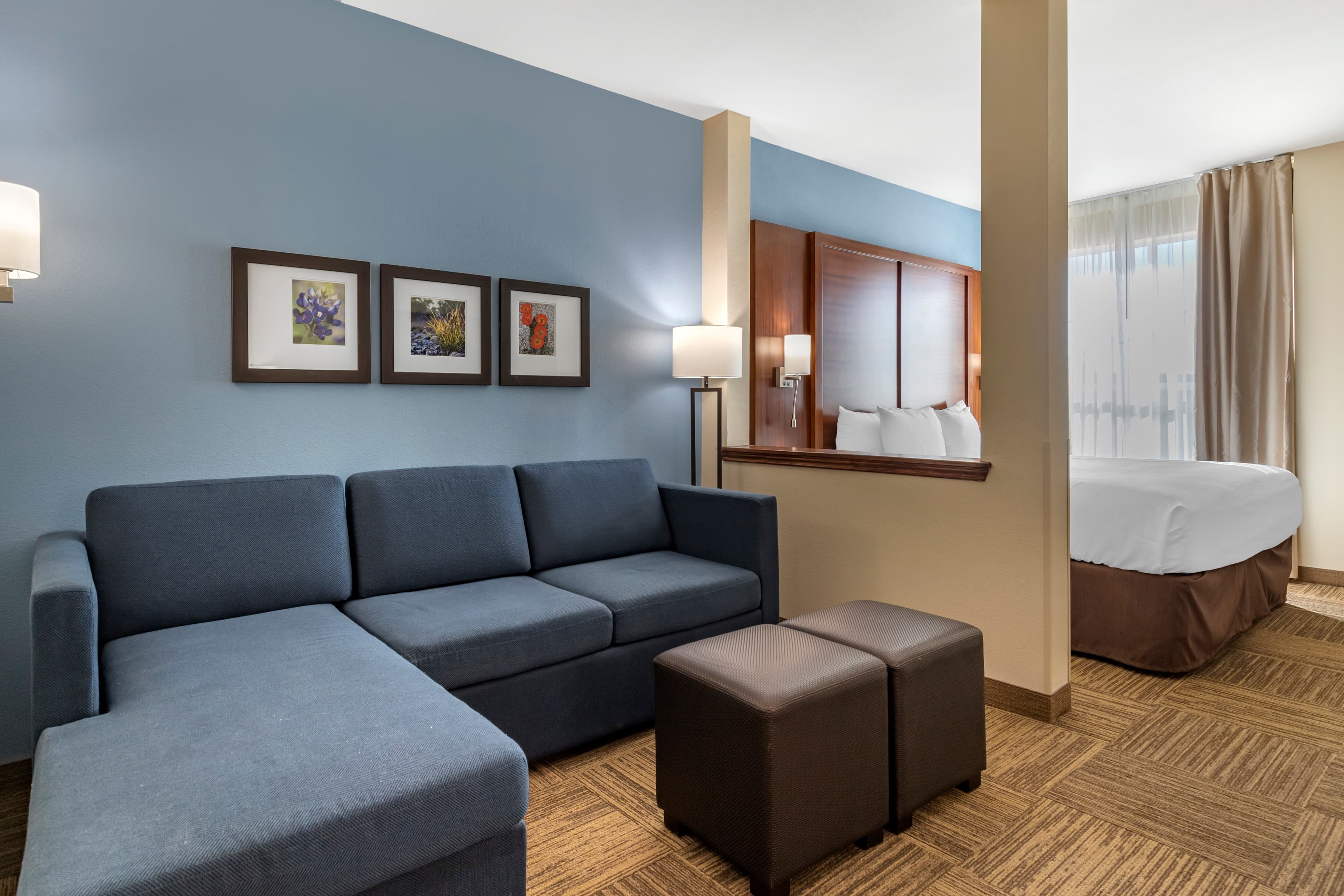 Comfort Suites Cedar Park - Austin Northwest — 15