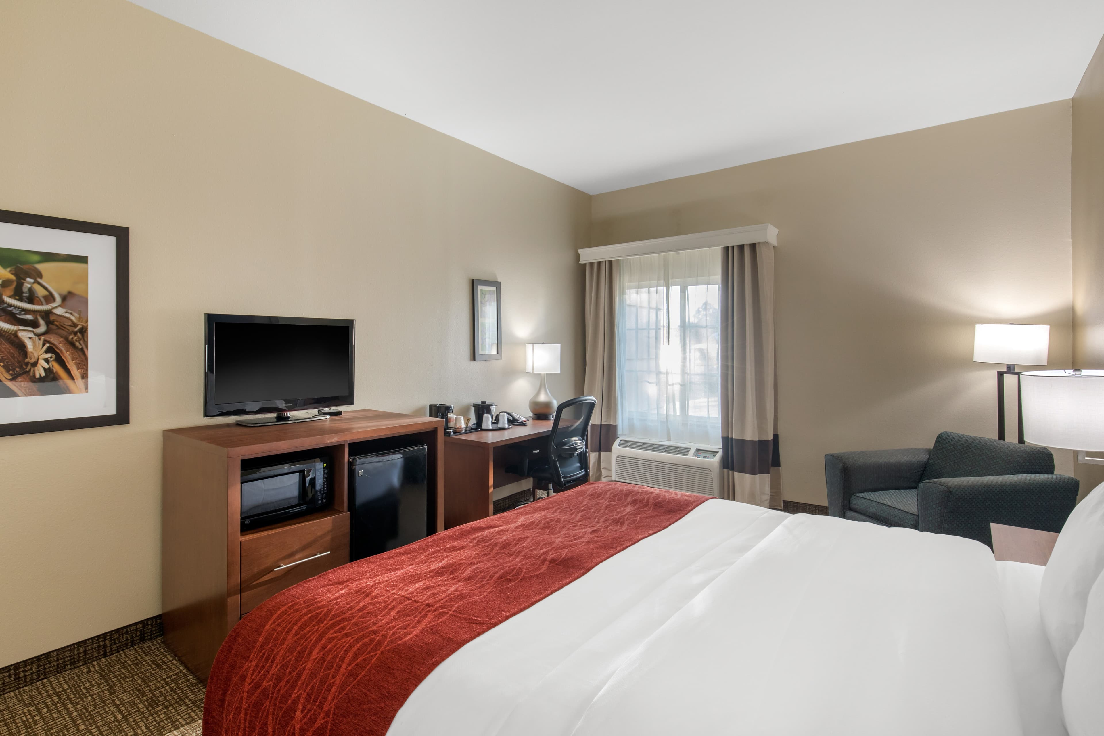 Comfort Inn & Suites Cedar Hill Duncanville - Image 3
