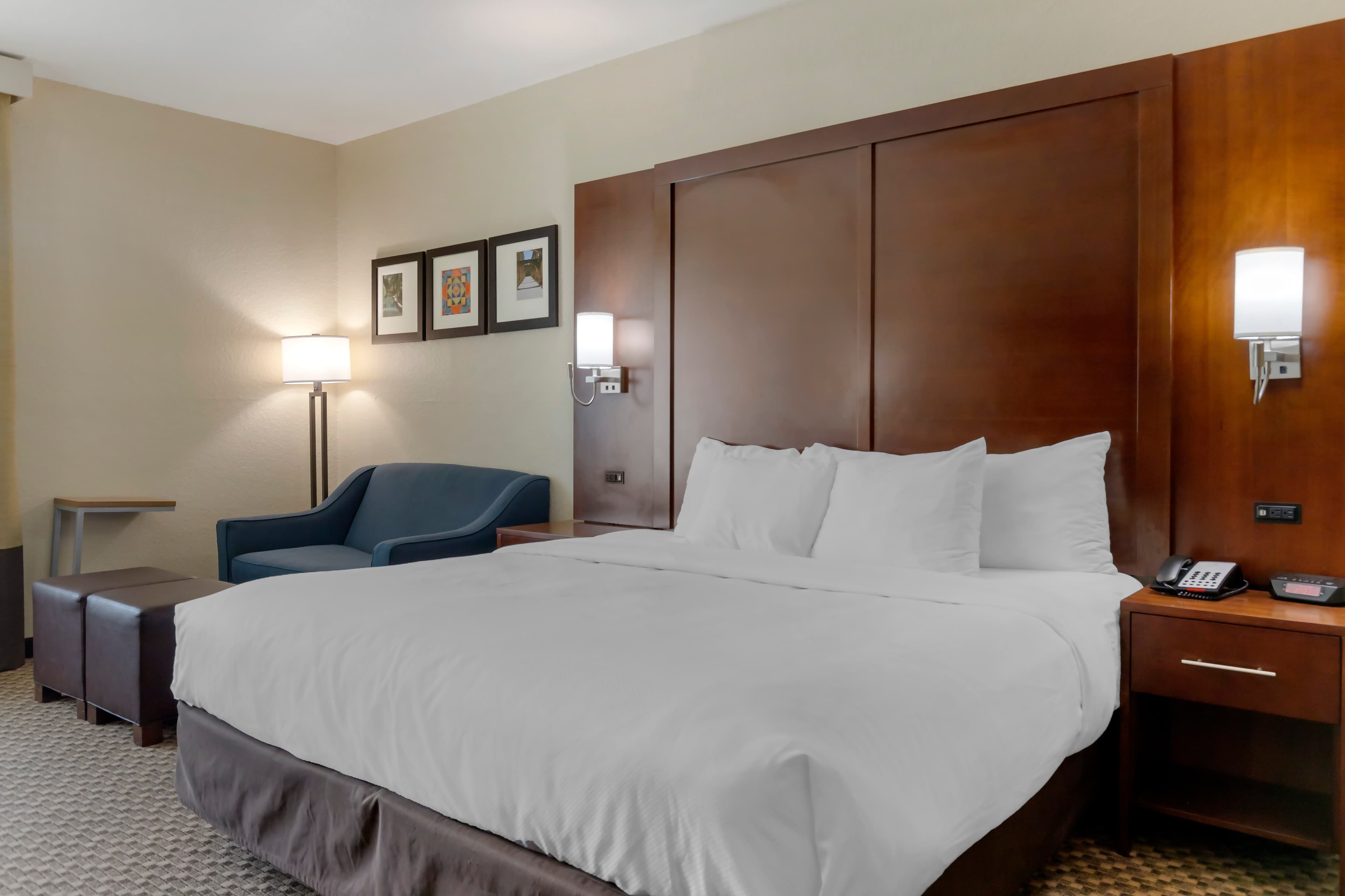 Comfort Inn & Suites Near Six Flags & Medical Center - Image 2