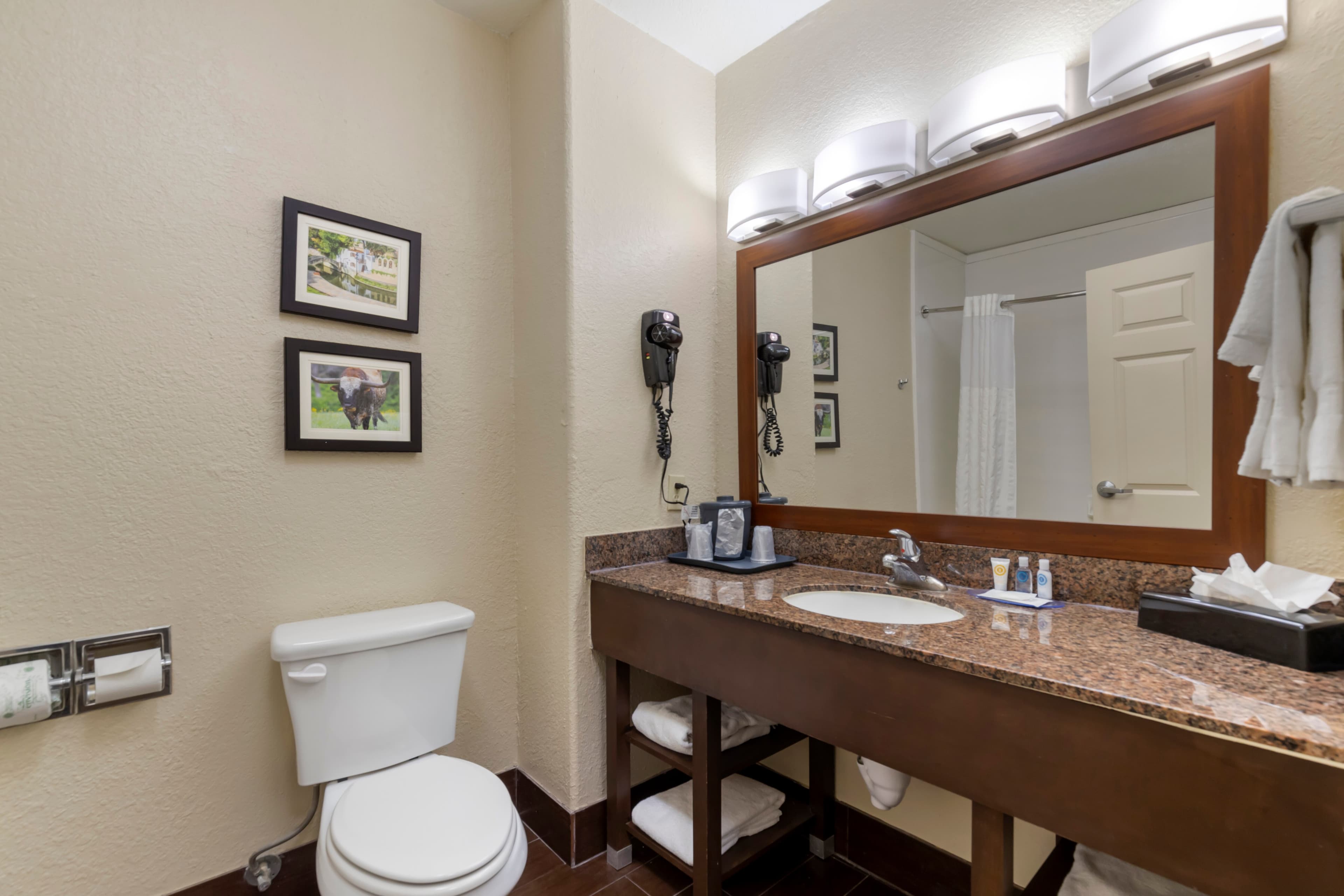 Comfort Inn & Suites Near Six Flags & Medical Center — 22