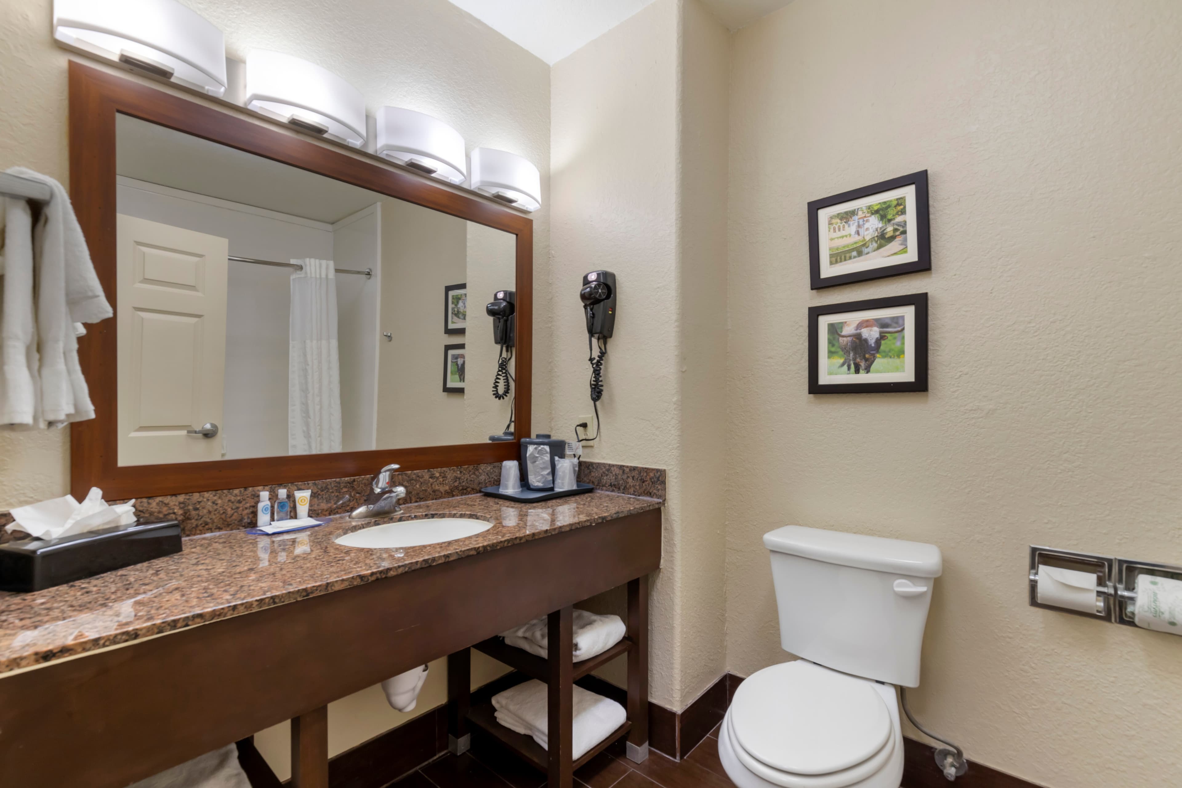 Comfort Inn & Suites Near Six Flags & Medical Center — 32