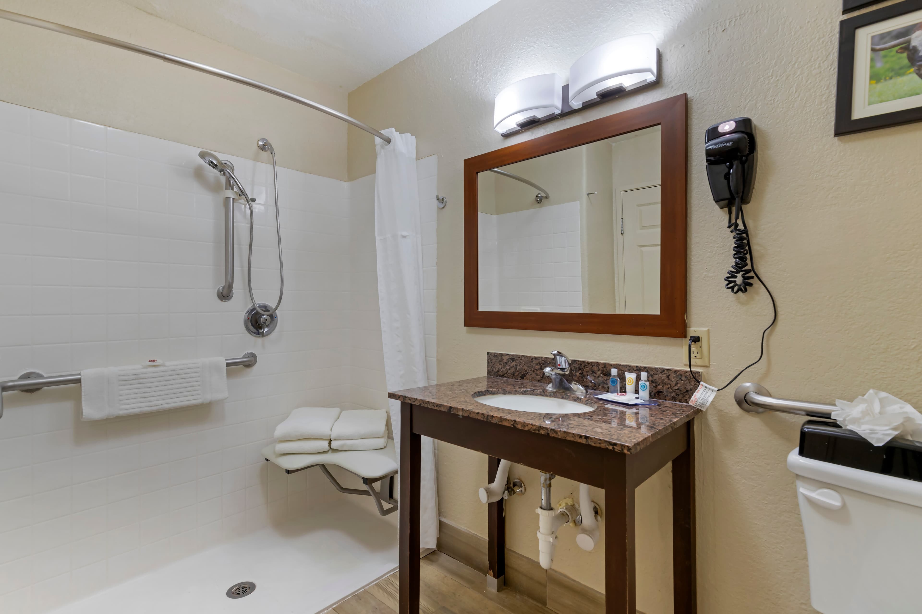 Comfort Inn & Suites Near Six Flags & Medical Center — 7