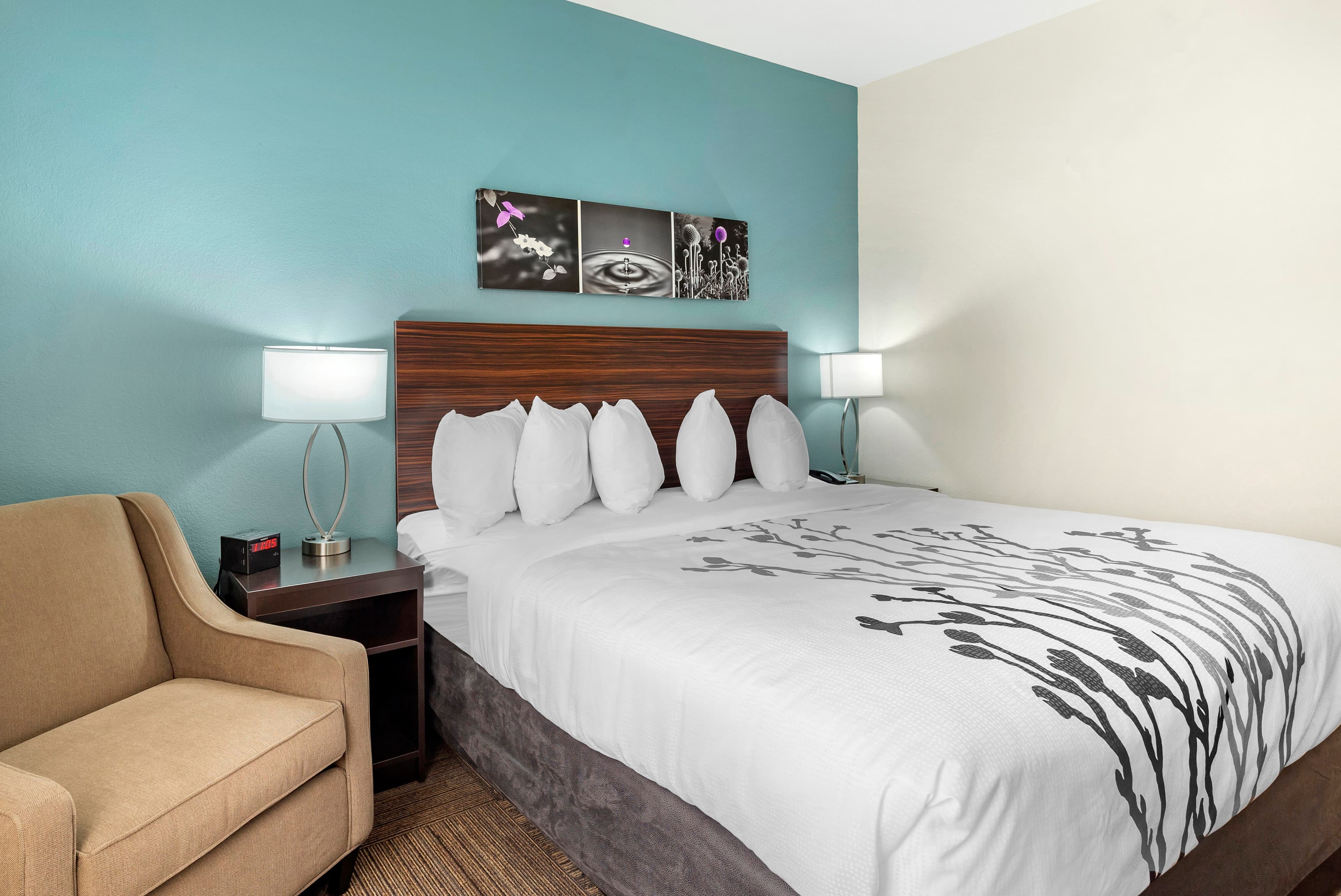Sleep Inn Lancaster Dallas South - Image 4
