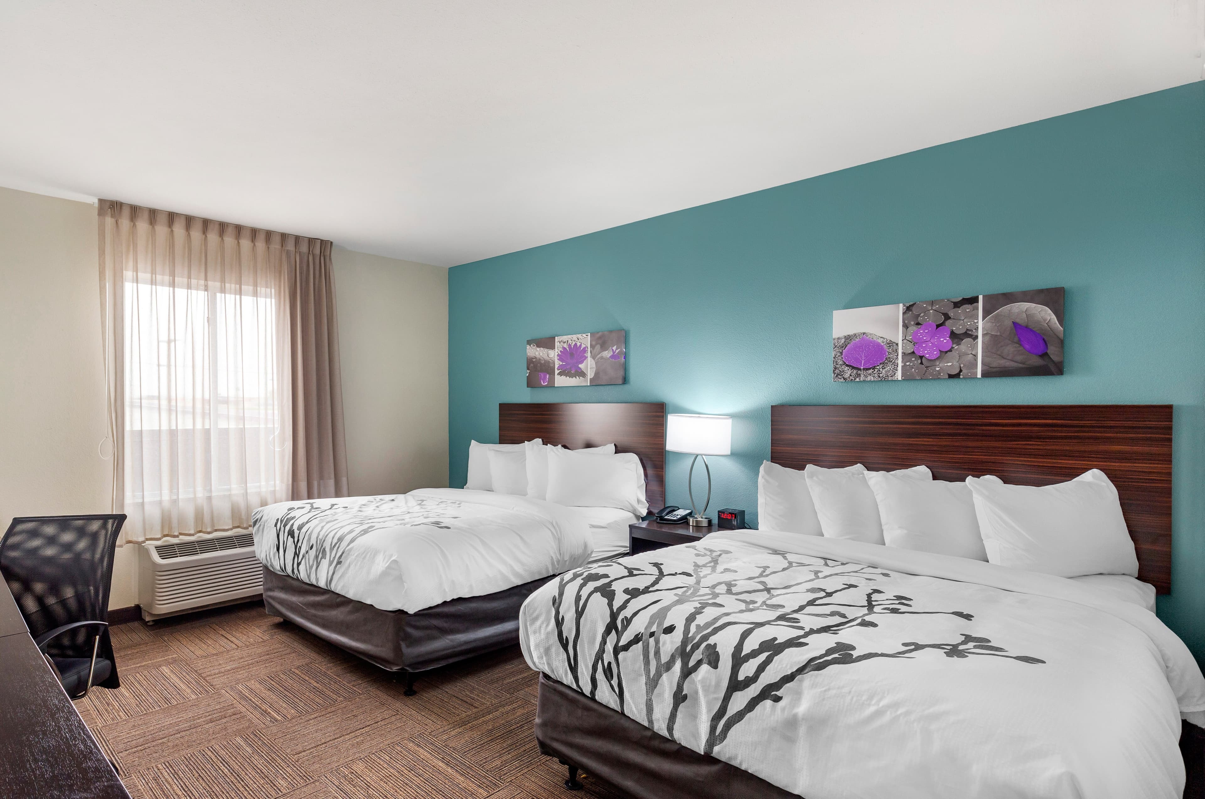 Sleep Inn Lancaster Dallas South — 11