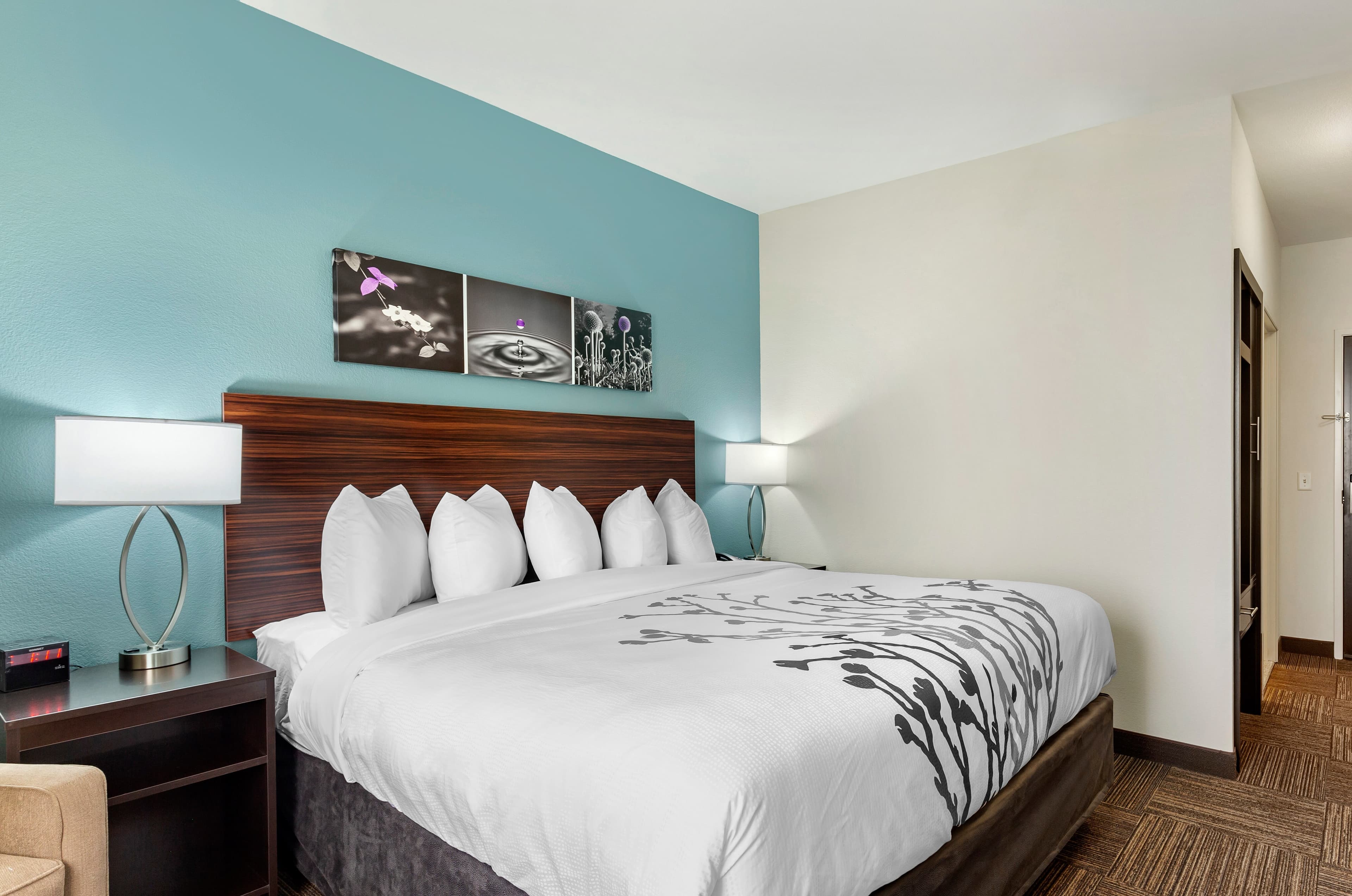 Sleep Inn Lancaster Dallas South — 19