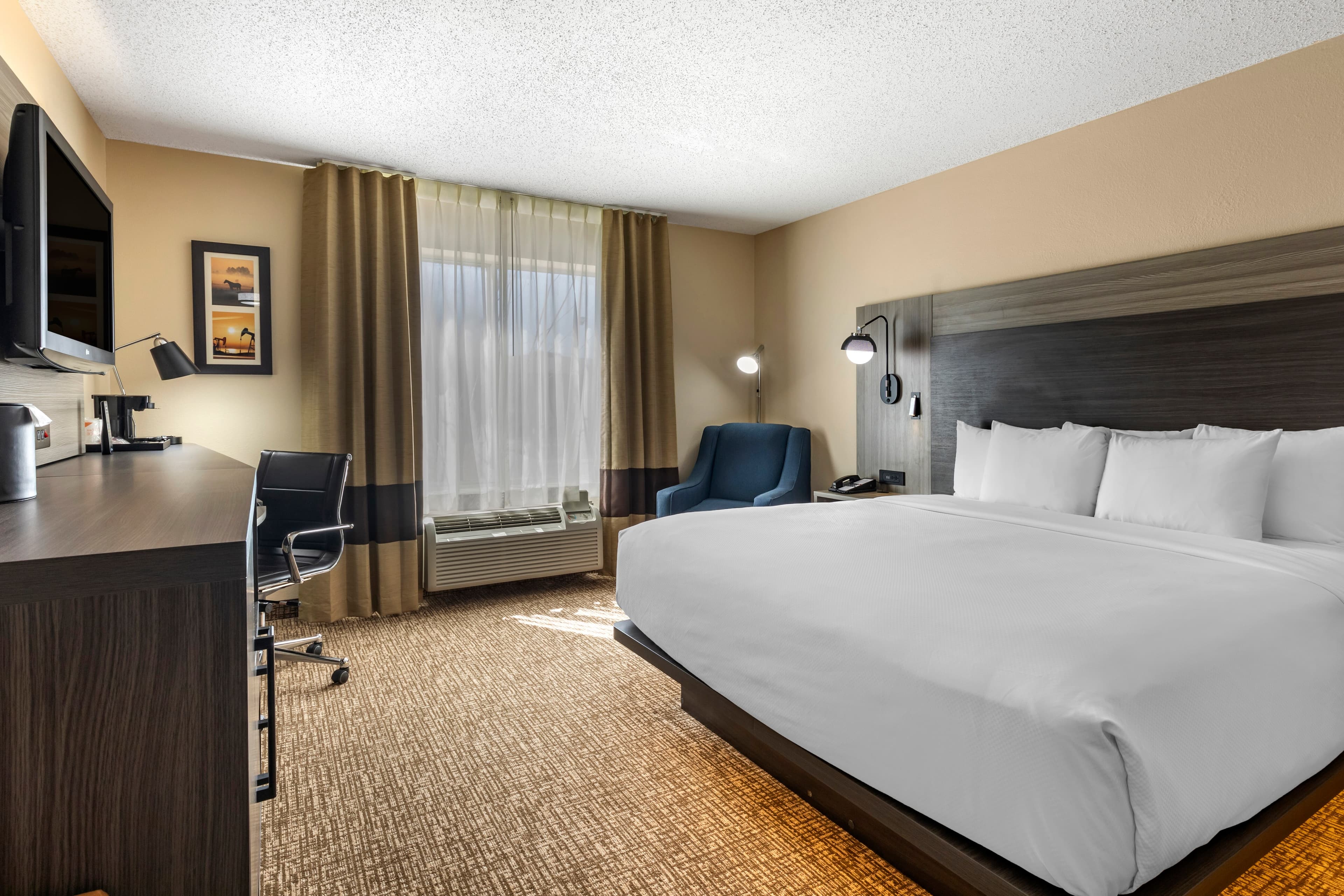 Comfort Inn & Suites North Dallas-Addison - Image 2