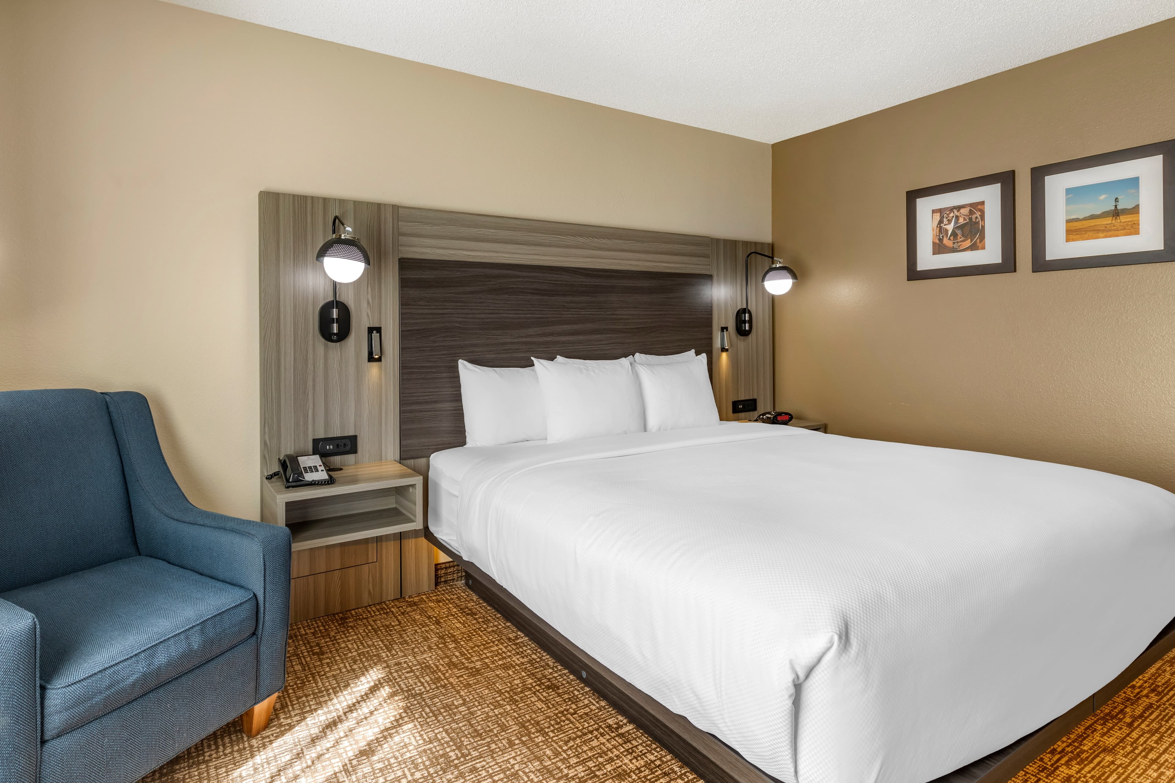 Comfort Inn & Suites North Dallas-Addison - Image 3