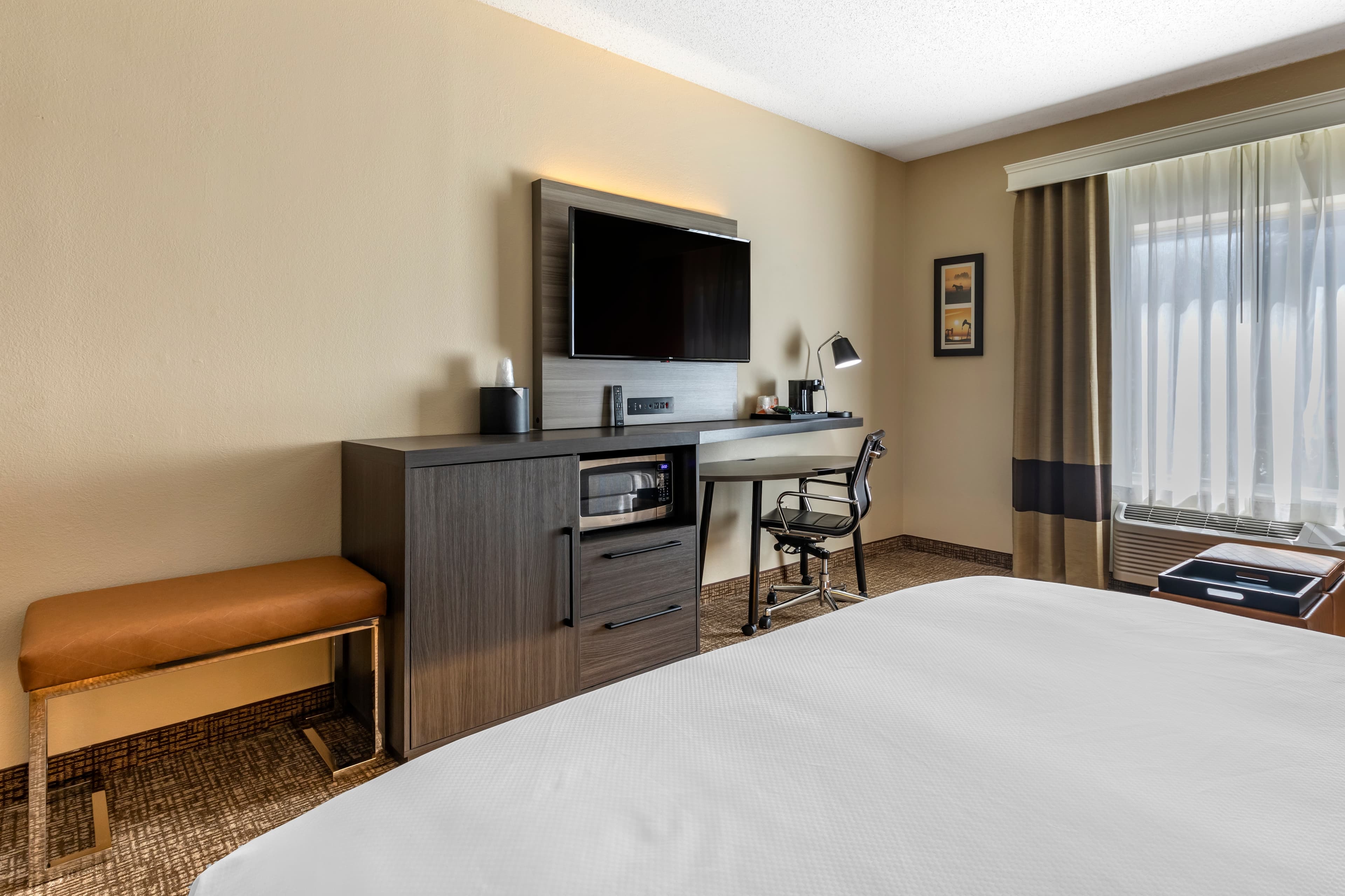 Comfort Inn & Suites North Dallas-Addison — 31