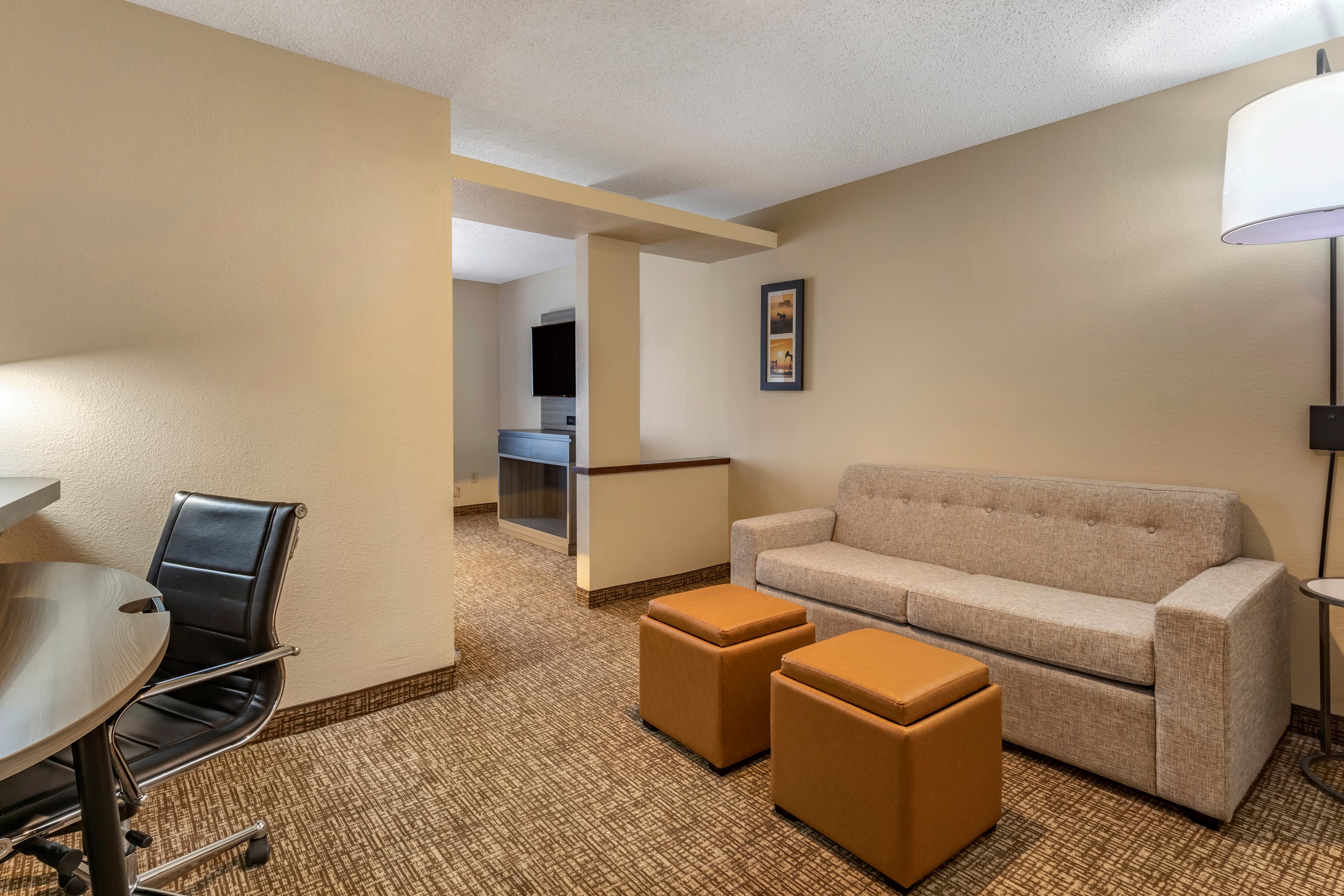 Comfort Inn & Suites North Dallas-Addison — 26