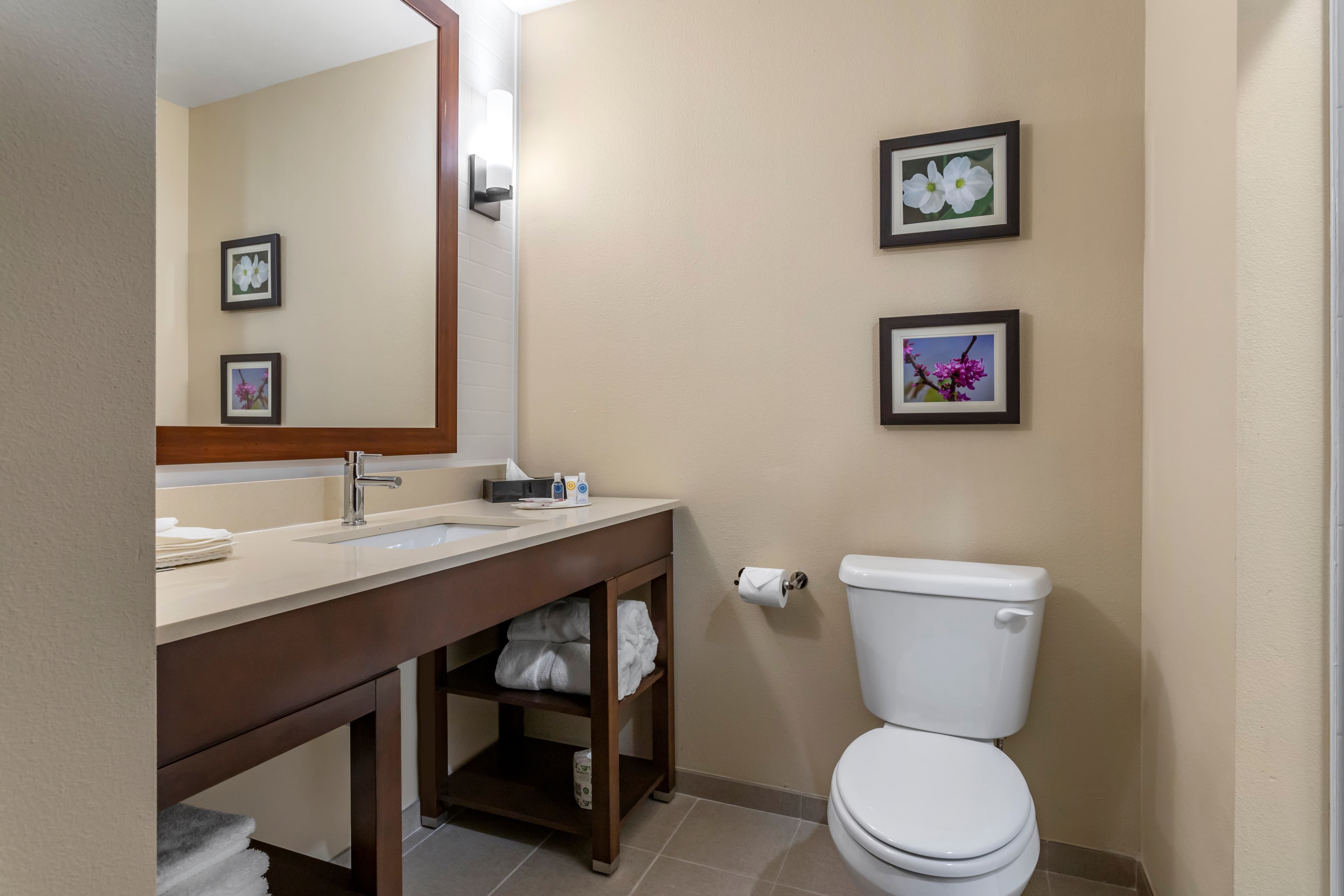 Comfort Inn & Suites Waller — 13