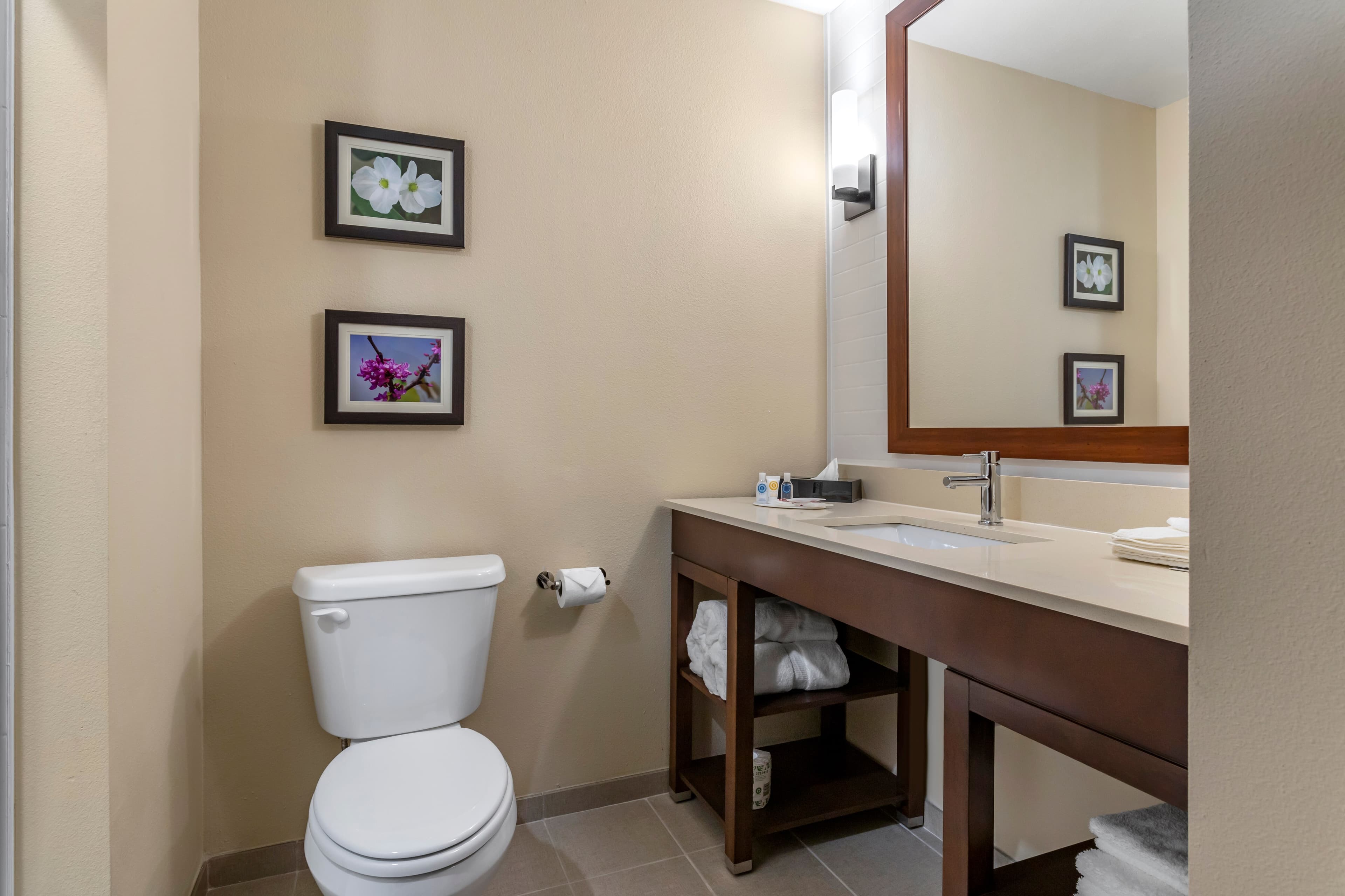 Comfort Inn & Suites Waller — 21