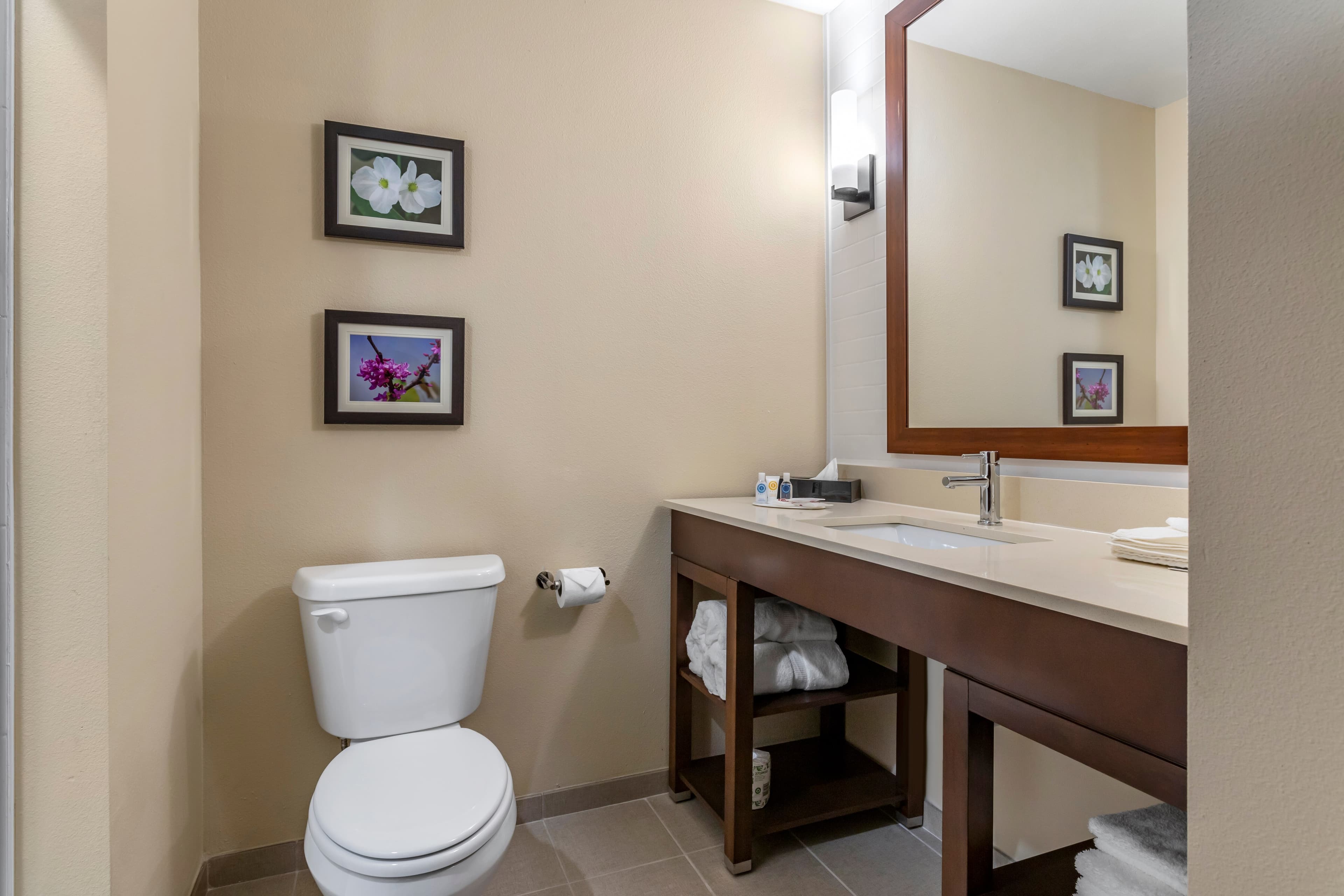 Comfort Inn & Suites Waller — 33