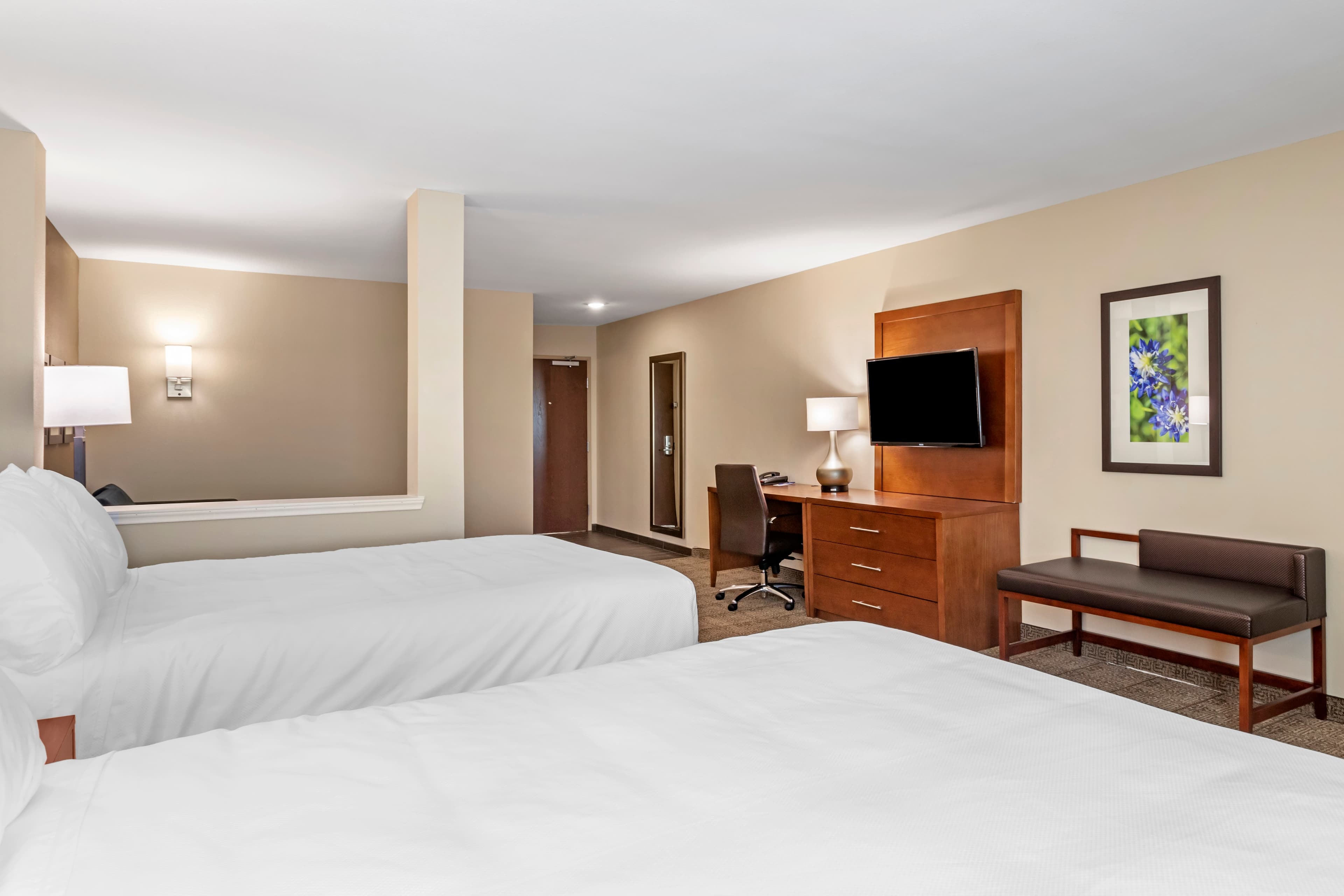 Comfort Inn & Suites Waller — 36