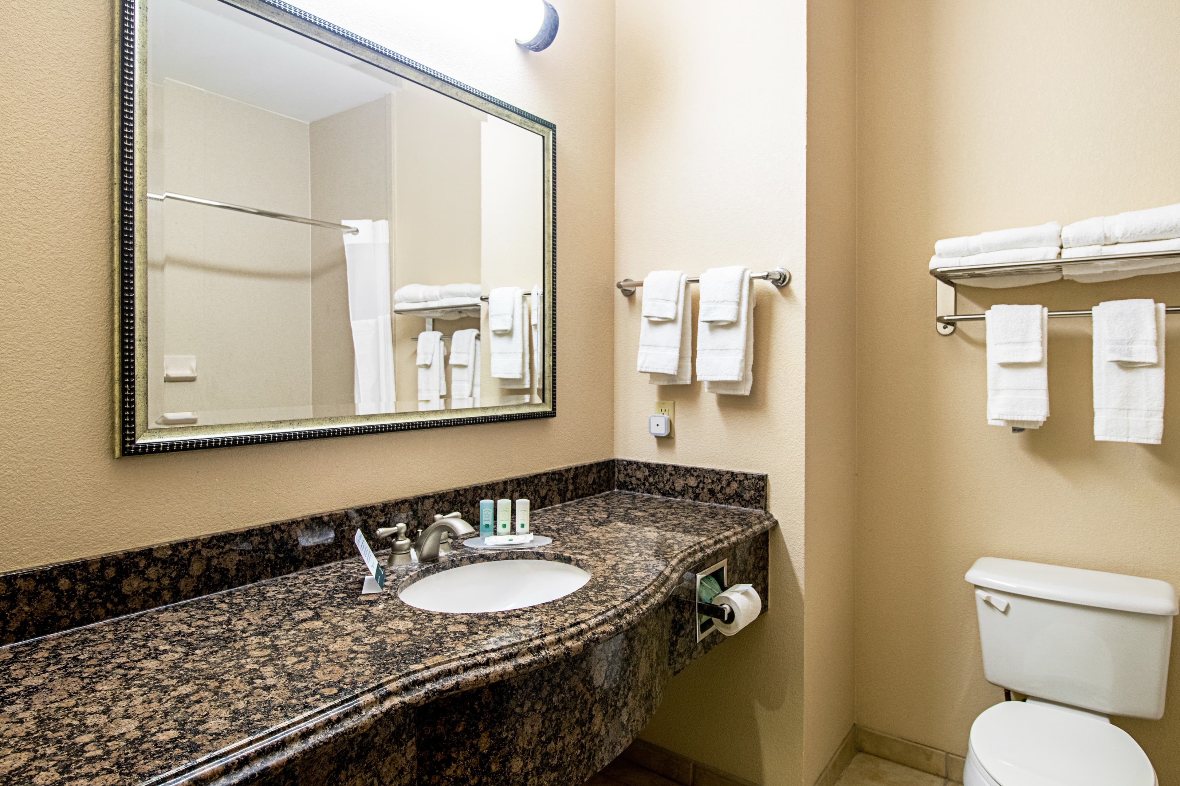 Quality Inn & Suites Robstown — 9