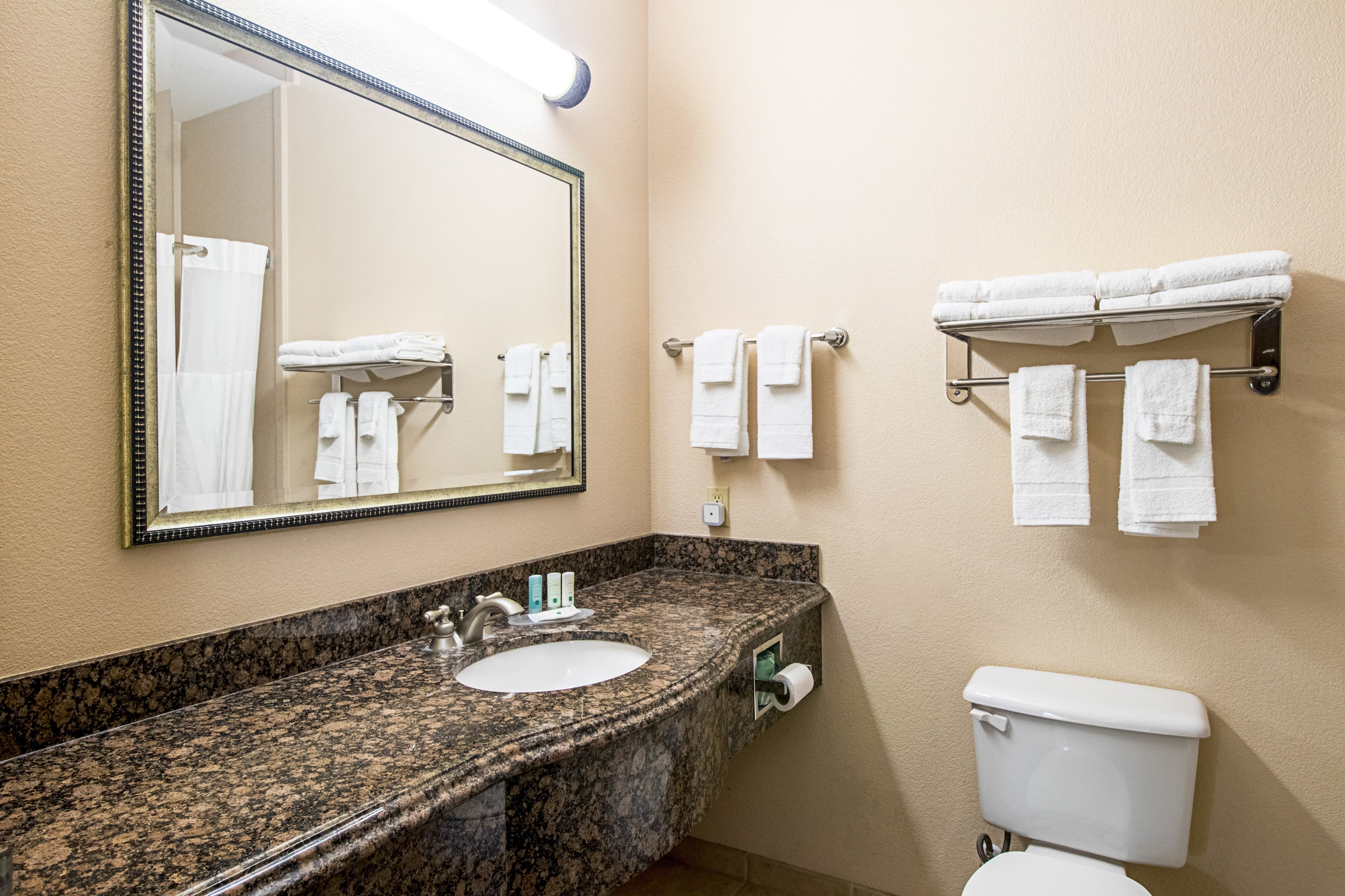 Quality Inn & Suites Robstown — 23