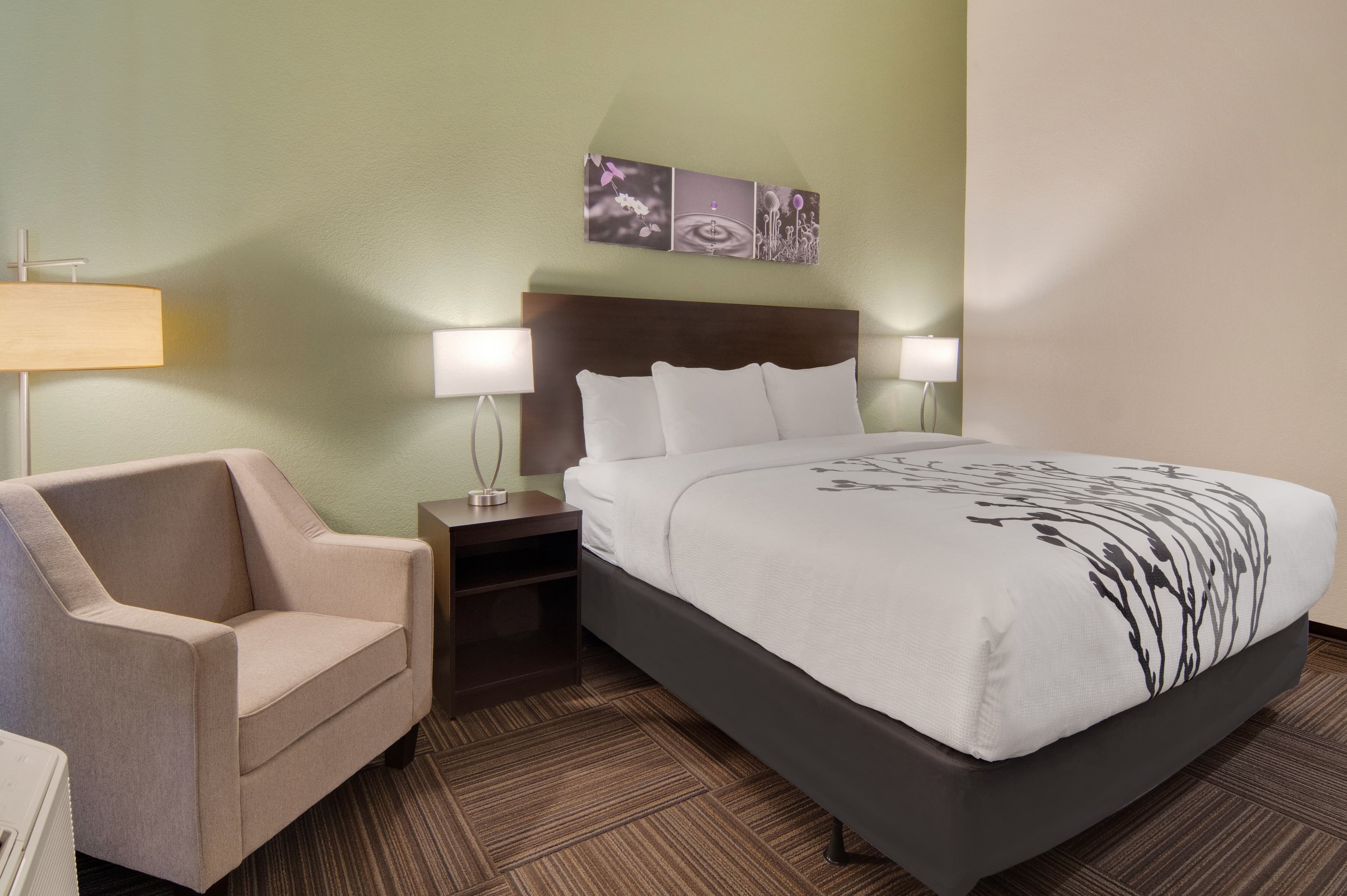 Sleep Inn Dallas Northwest - Irving - Image 5