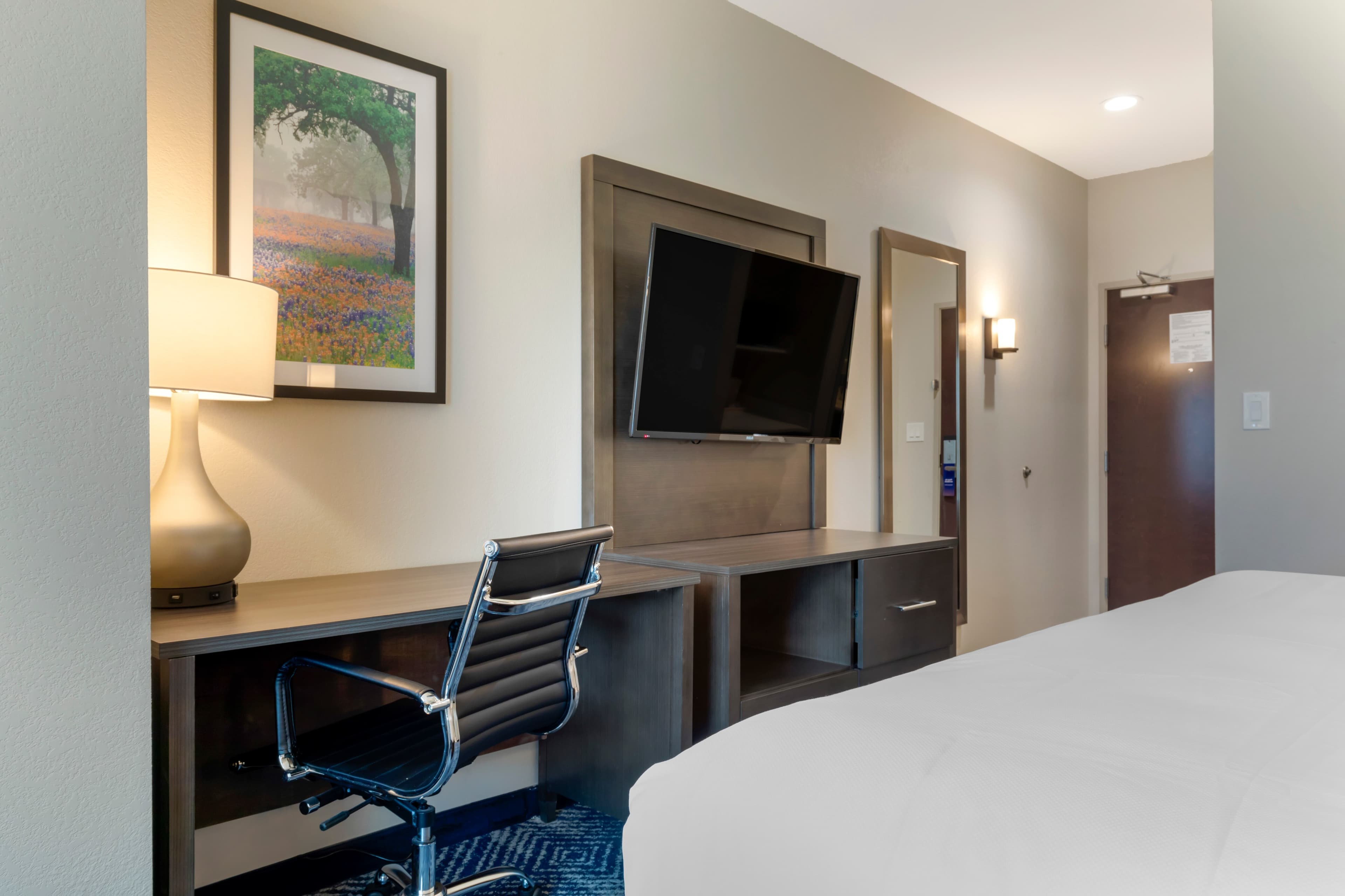 Comfort Inn & Suites Balch Springs - SE Dallas - Image 4