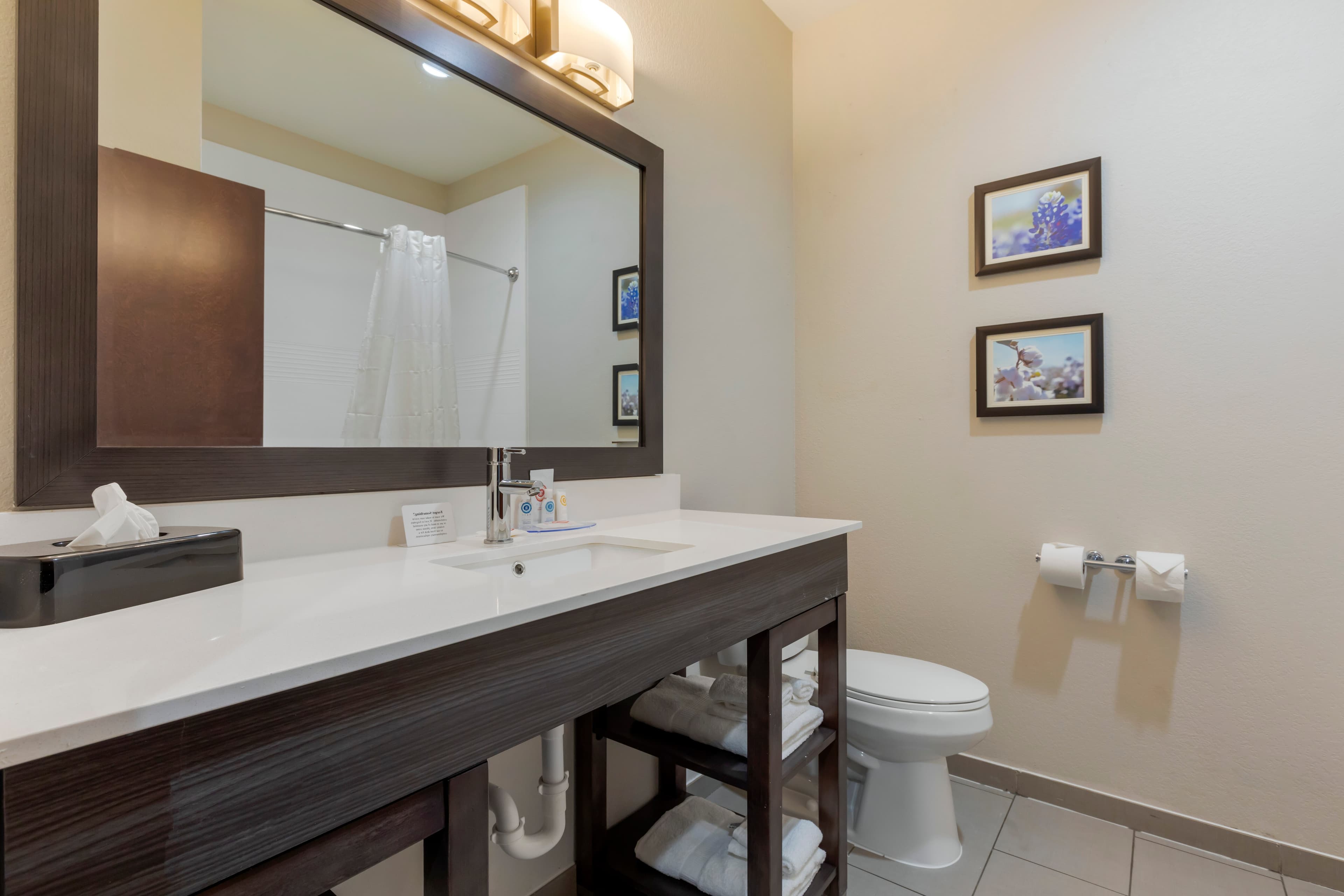 Comfort Inn & Suites Balch Springs - SE Dallas - Image 5