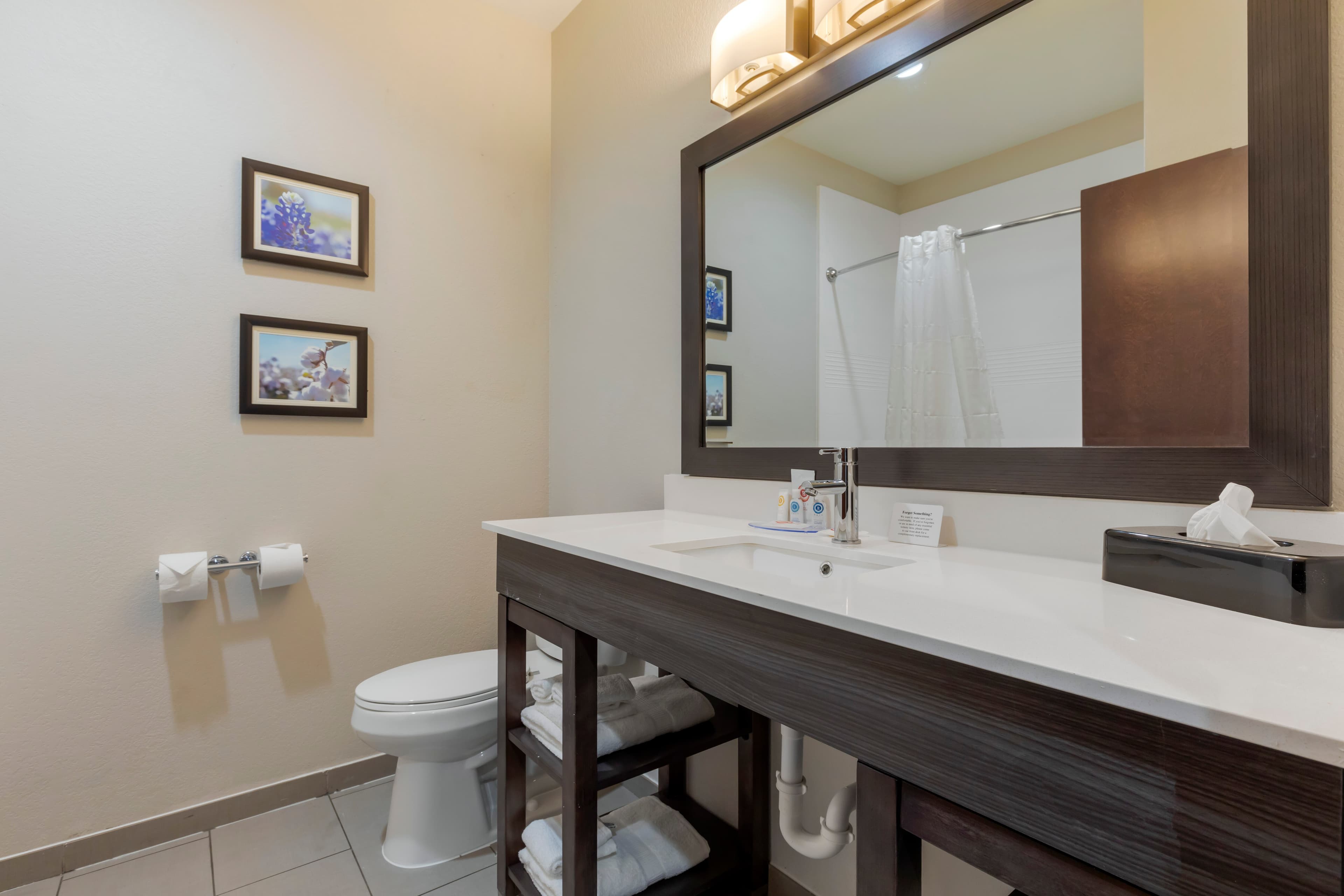 Comfort Inn & Suites Balch Springs - SE Dallas — 9