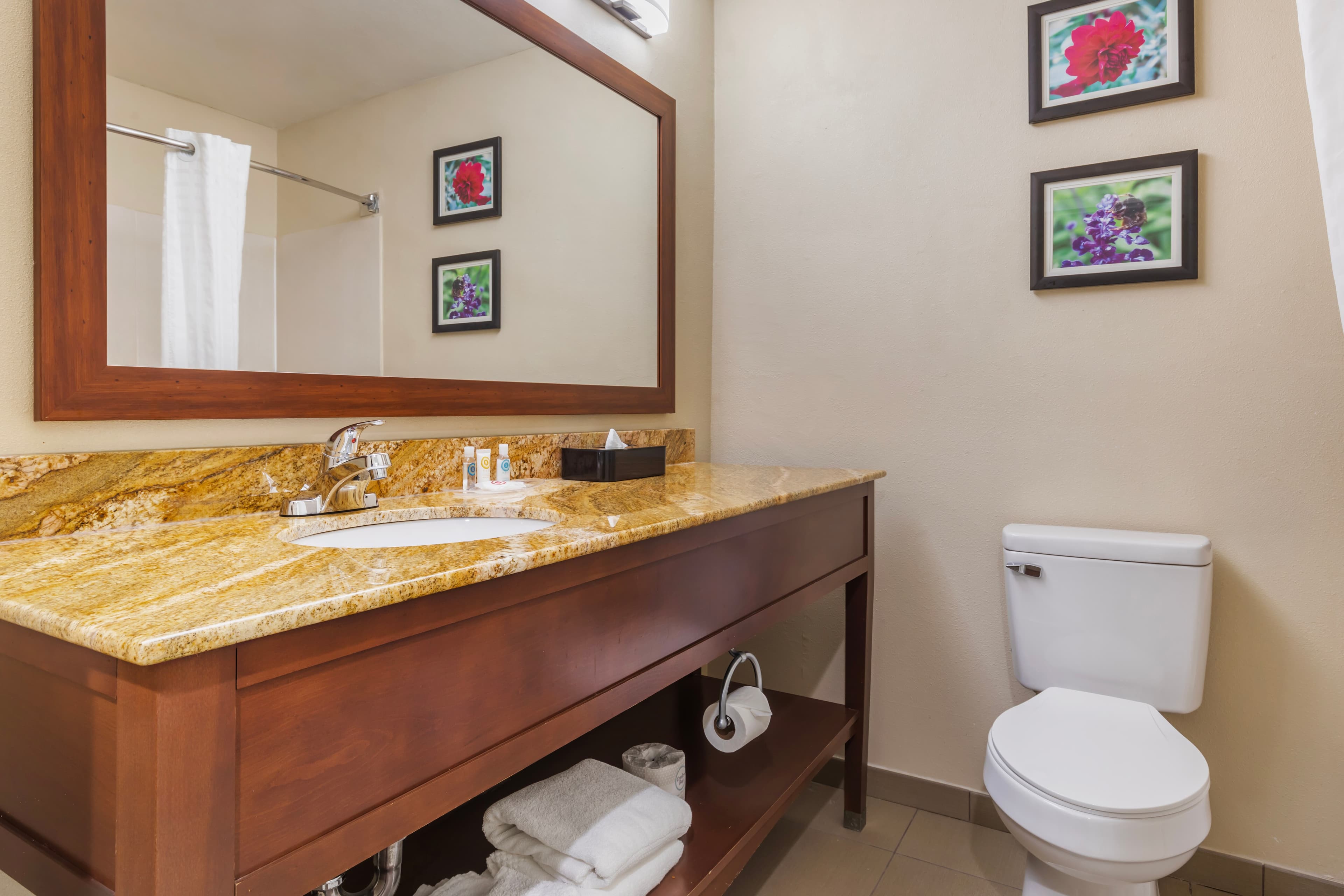 Comfort Inn & Suites Temple - Medical Center — 24