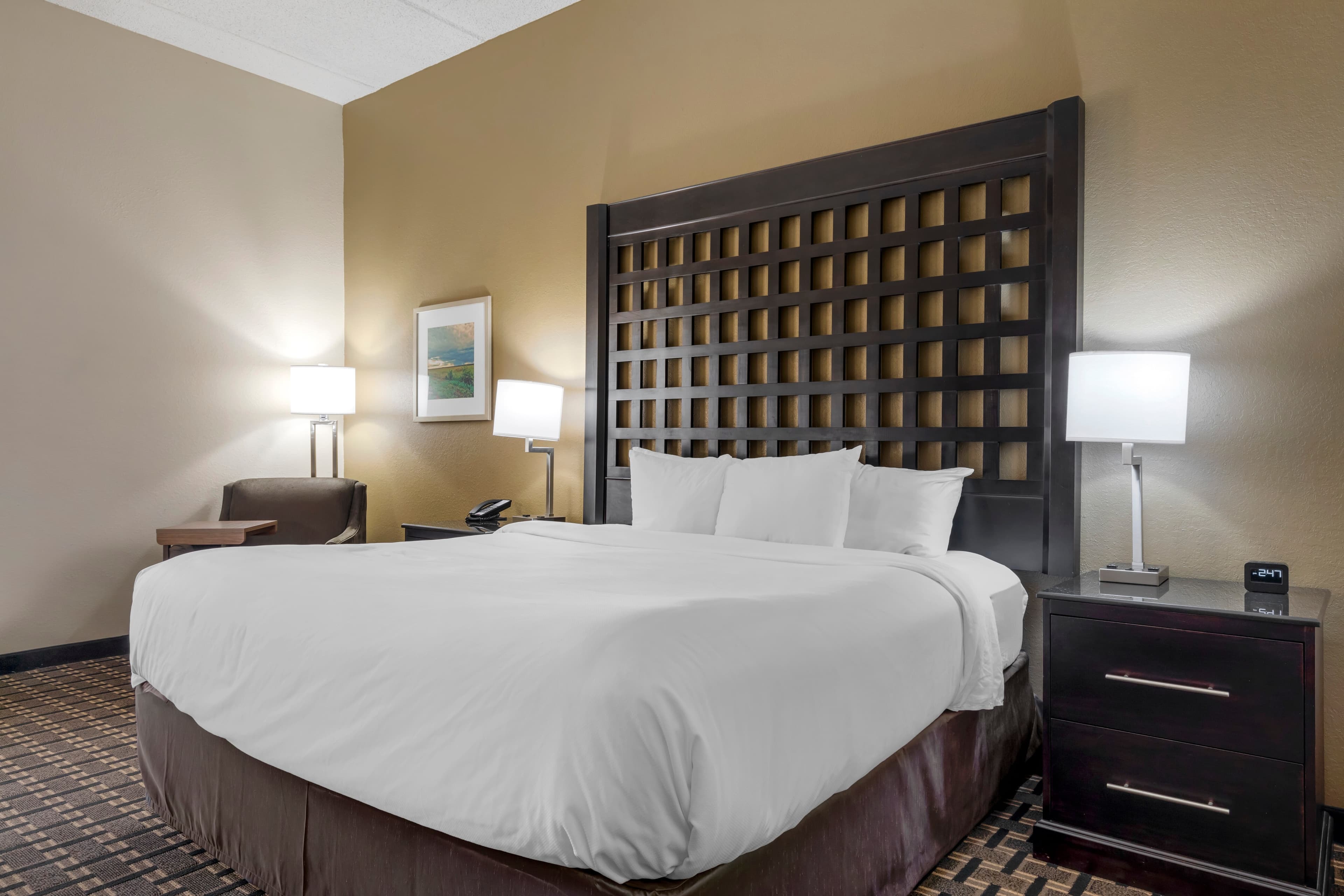 Comfort Inn Sherman - Denison Area - Image 2