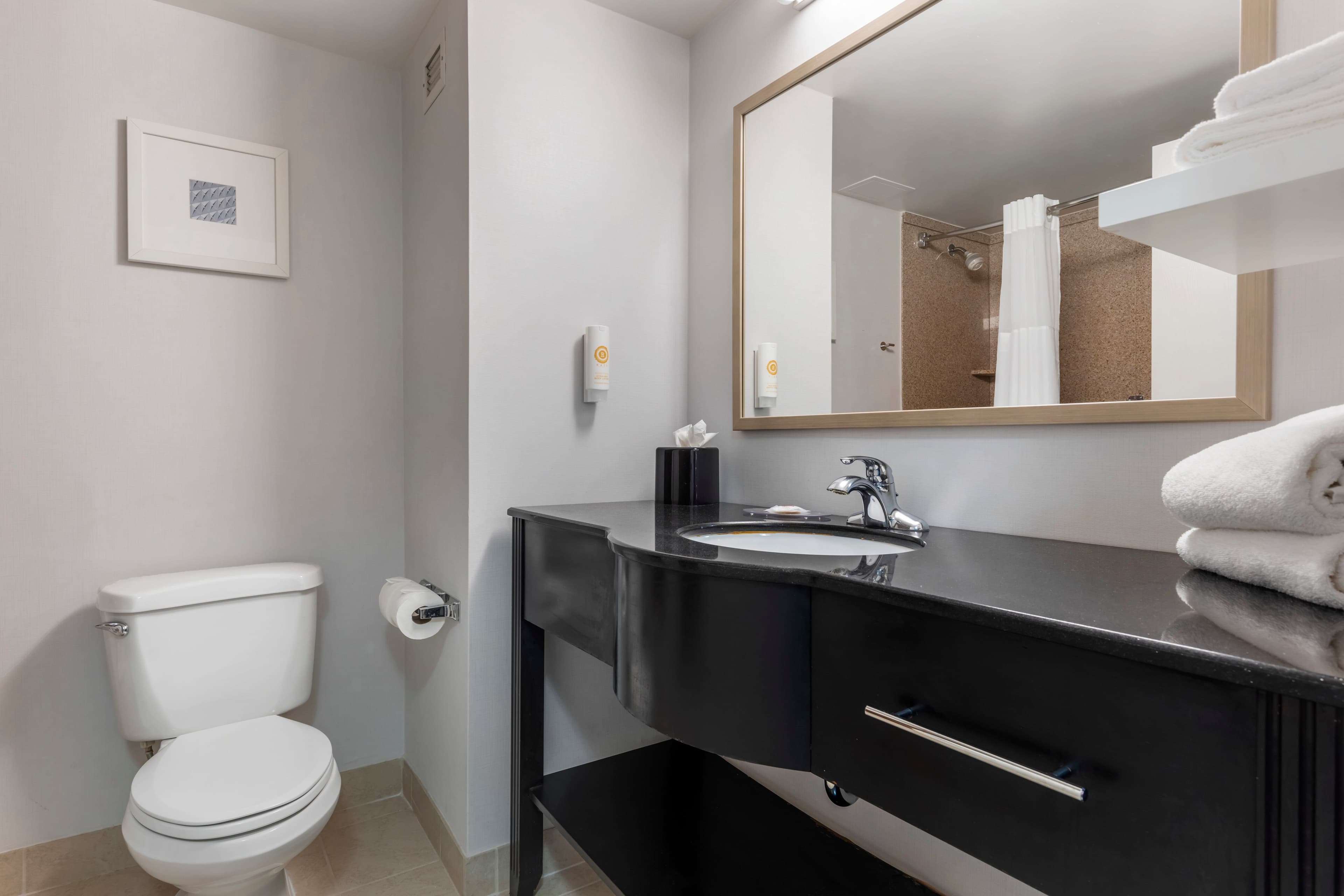 Comfort Inn Plano-Dallas — 9