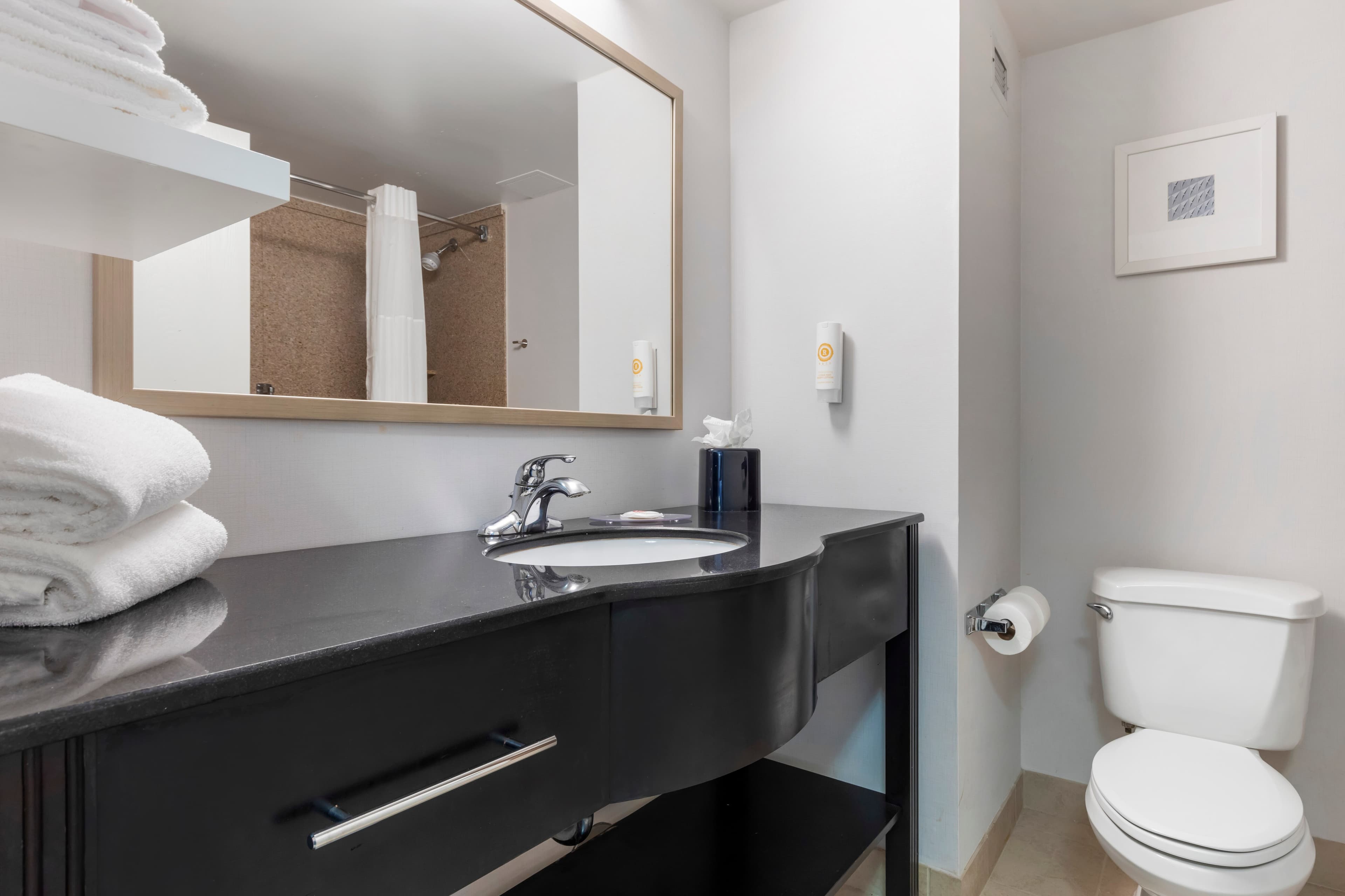 Comfort Inn Plano-Dallas — 21