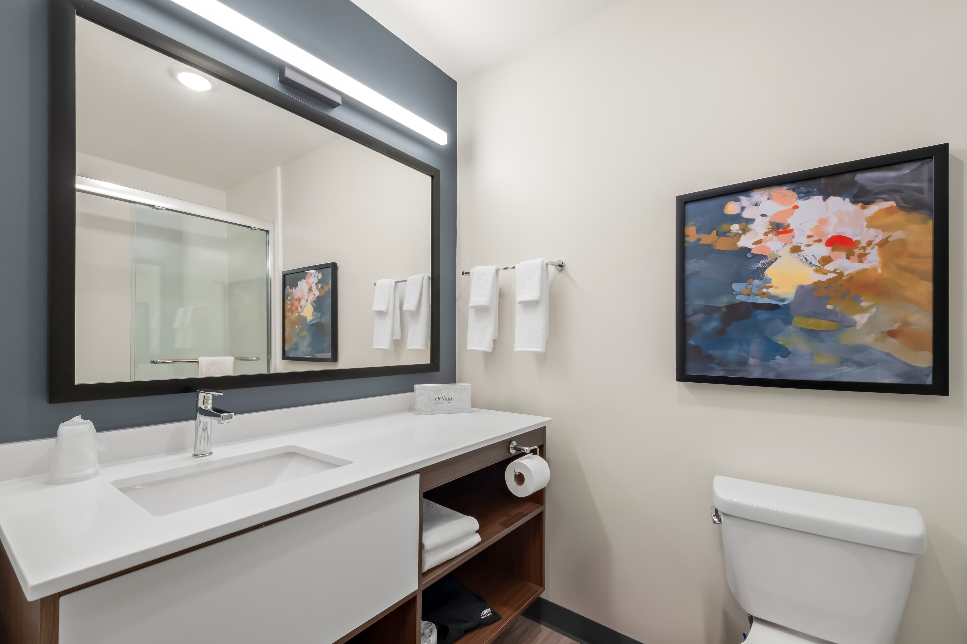 Everhome Suites Amarillo West - Medical Center — 41