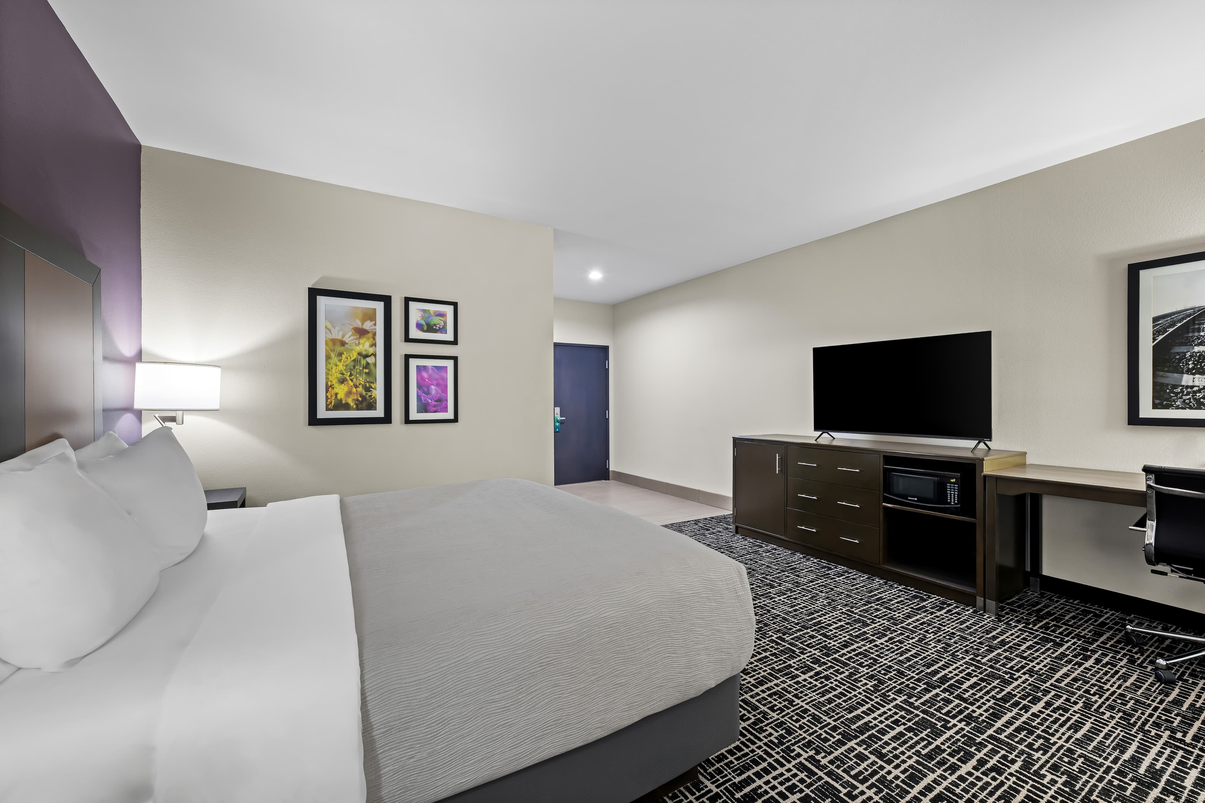 Quality Inn & Suites Colorado City, TX - Image 4