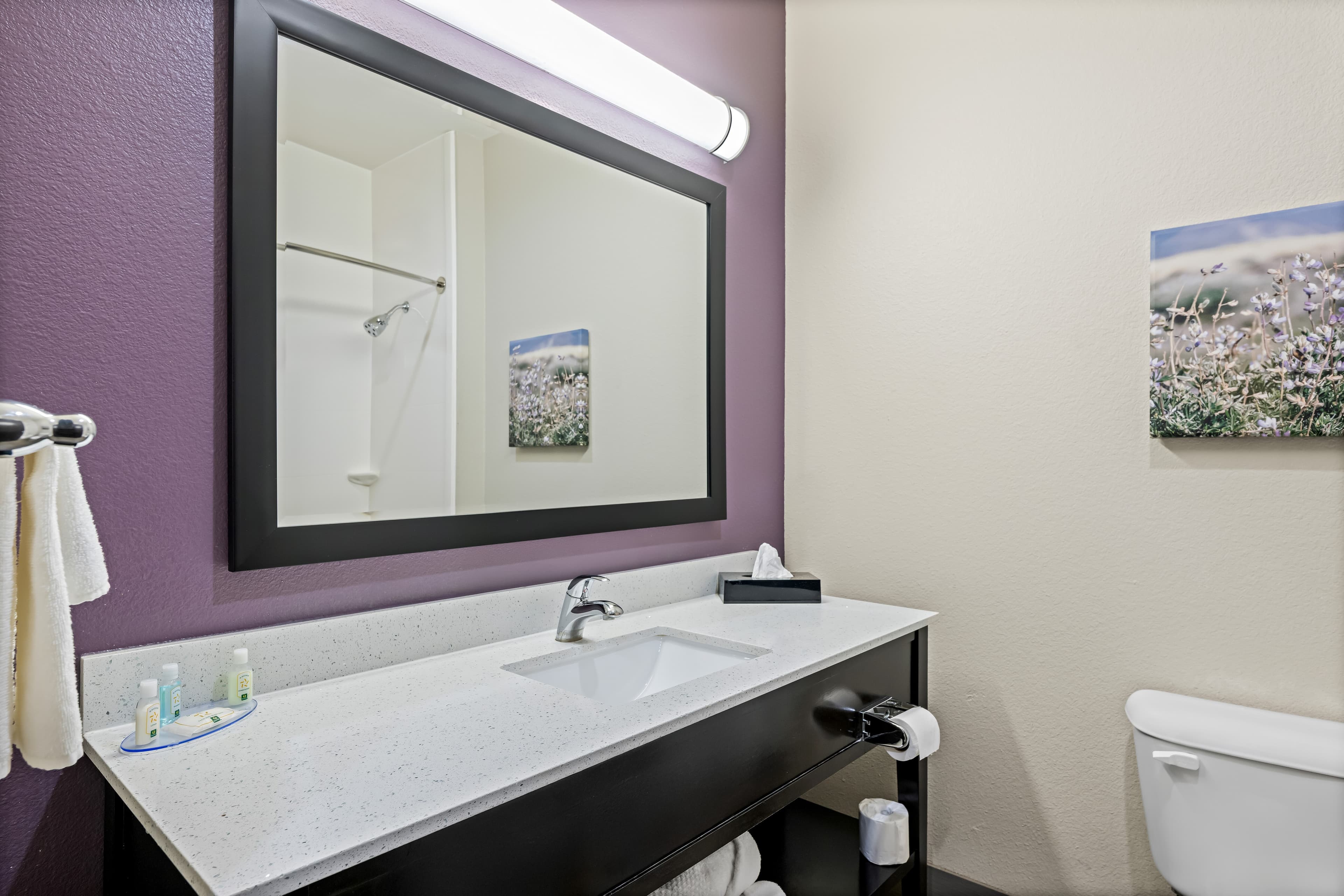 Quality Inn & Suites Colorado City, TX — 12