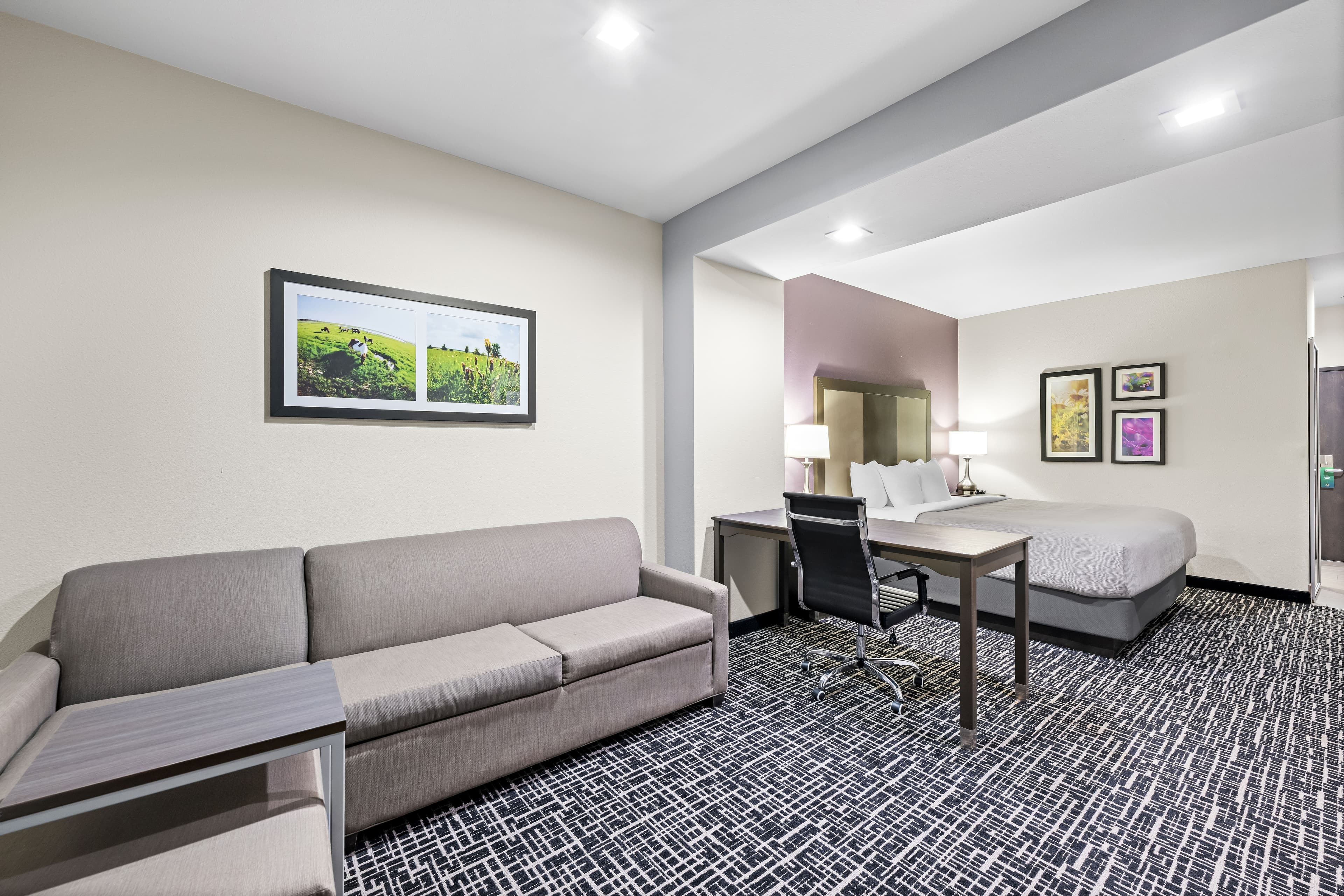 Quality Inn & Suites Colorado City, TX — 19
