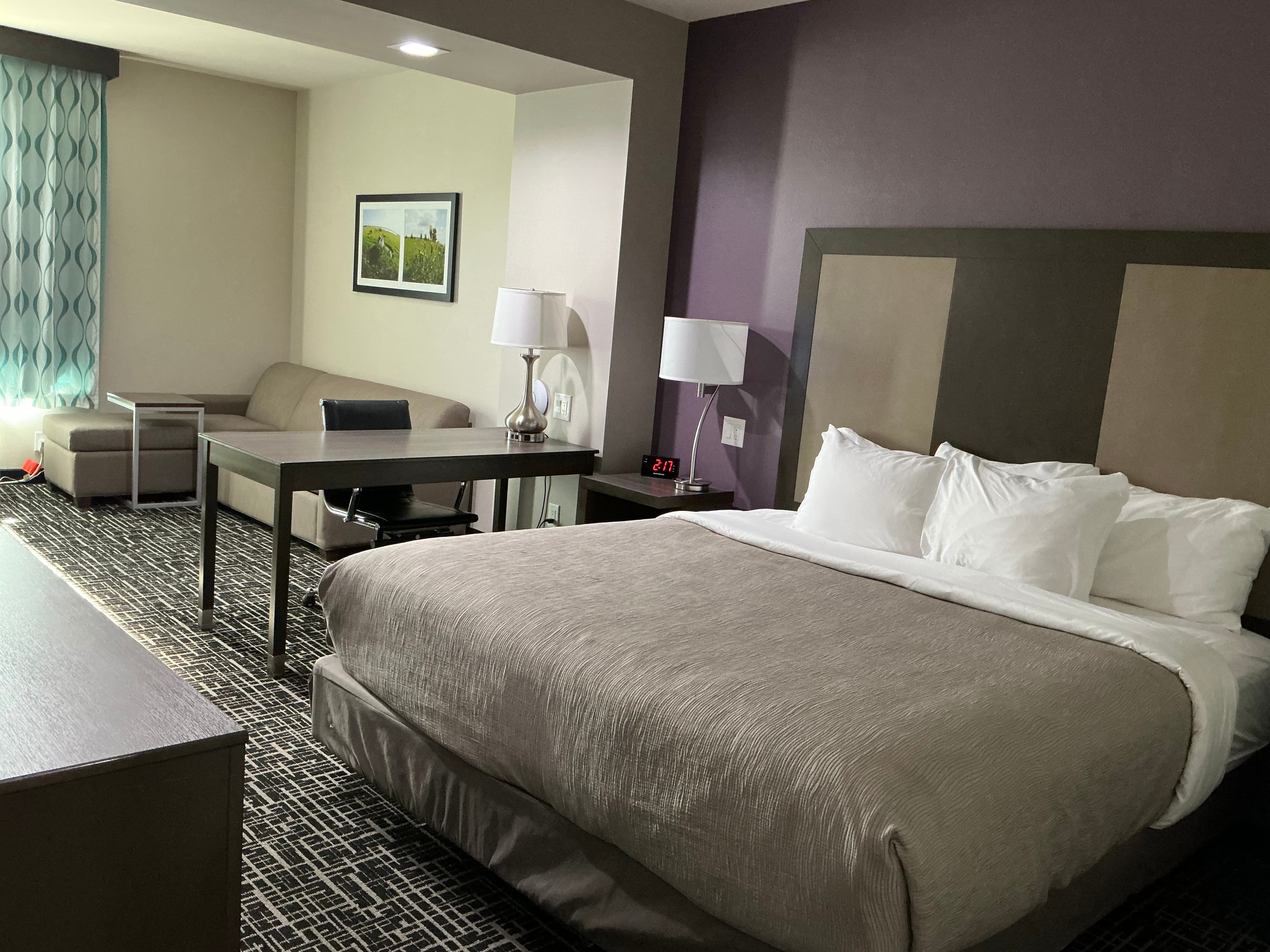Quality Inn & Suites Colorado City, TX — 15