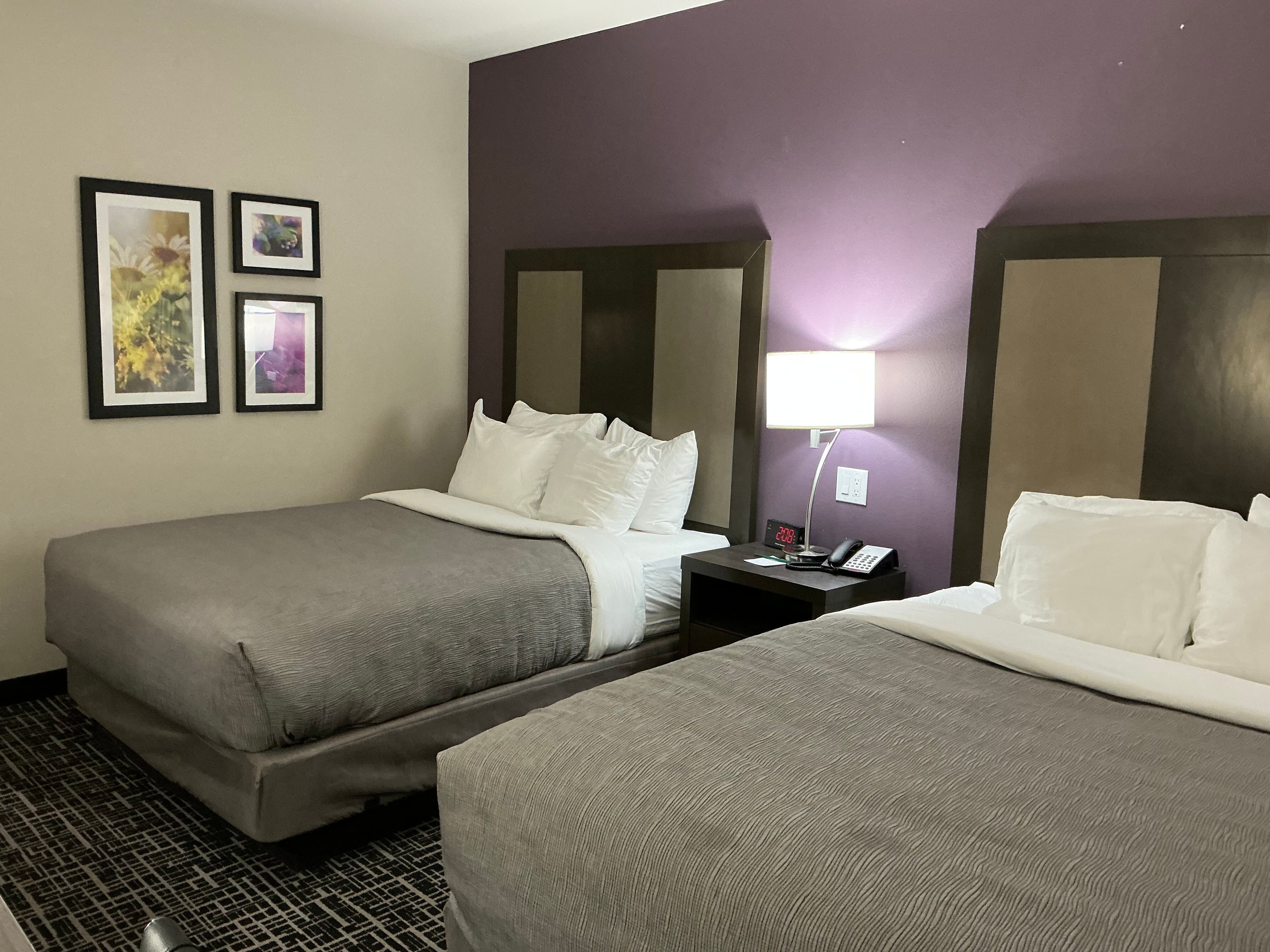 Quality Inn & Suites Colorado City, TX - Image 3