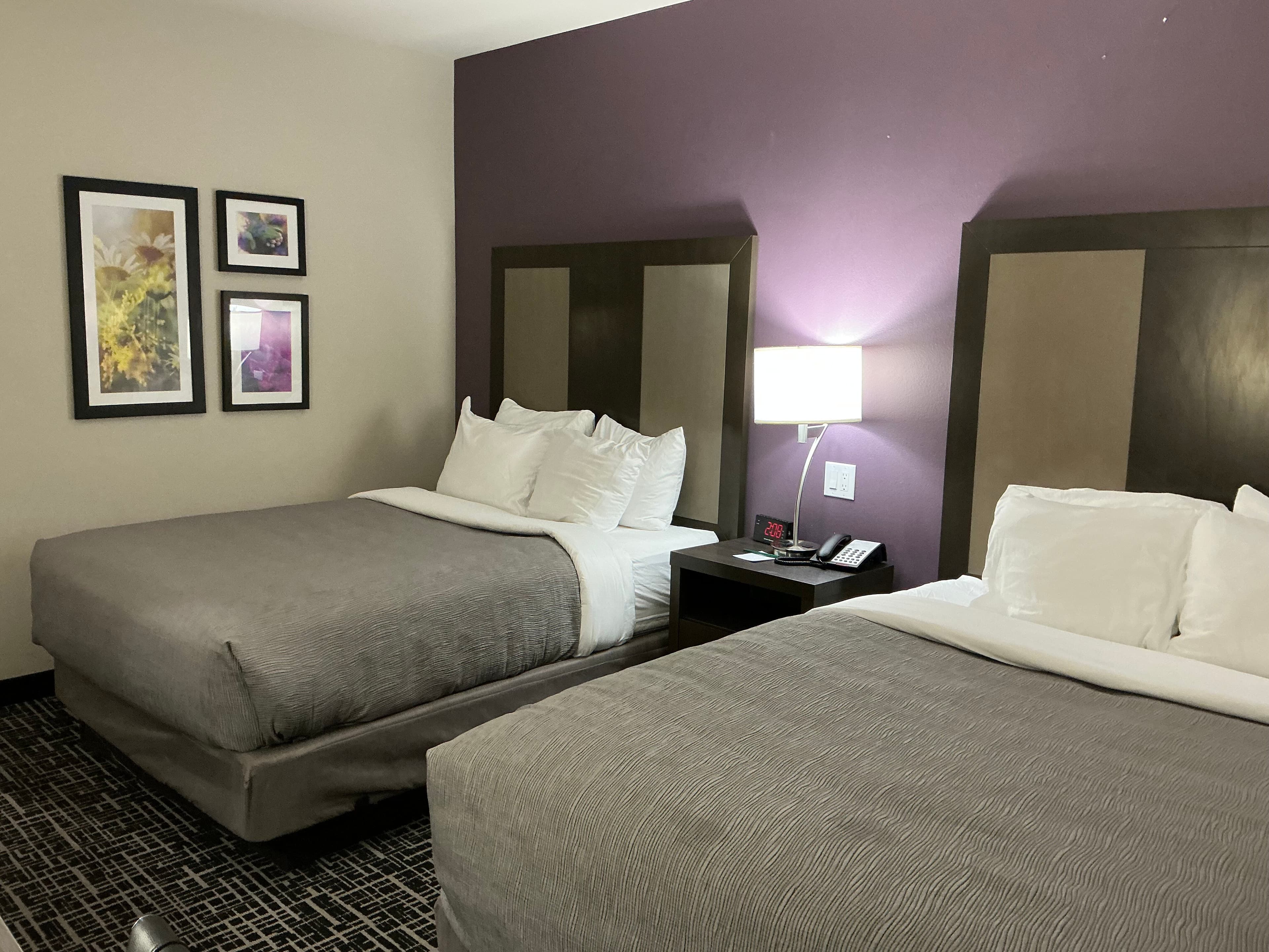 Quality Inn & Suites Colorado City, TX - Image 4