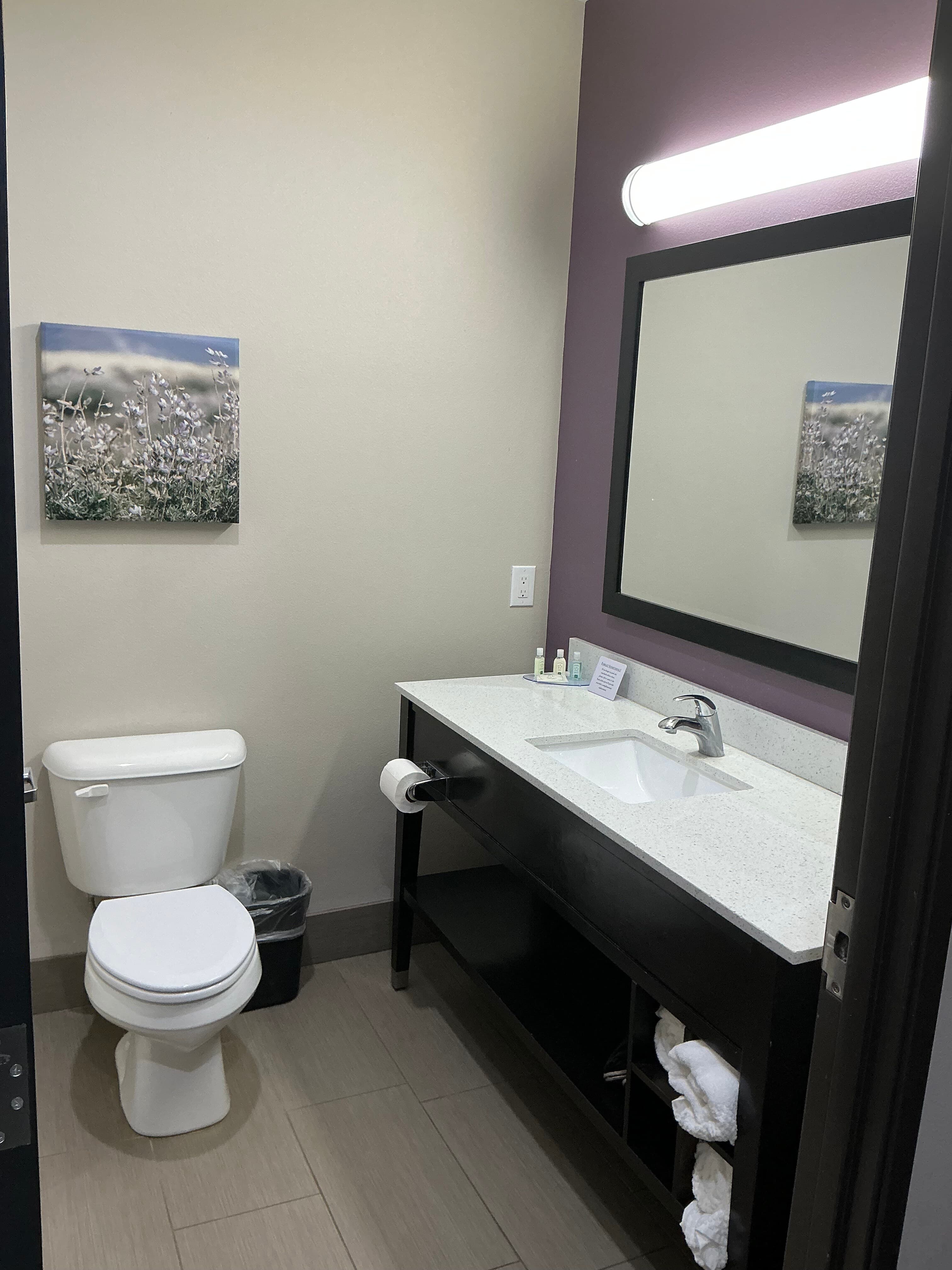 Quality Inn & Suites Colorado City, TX — 29