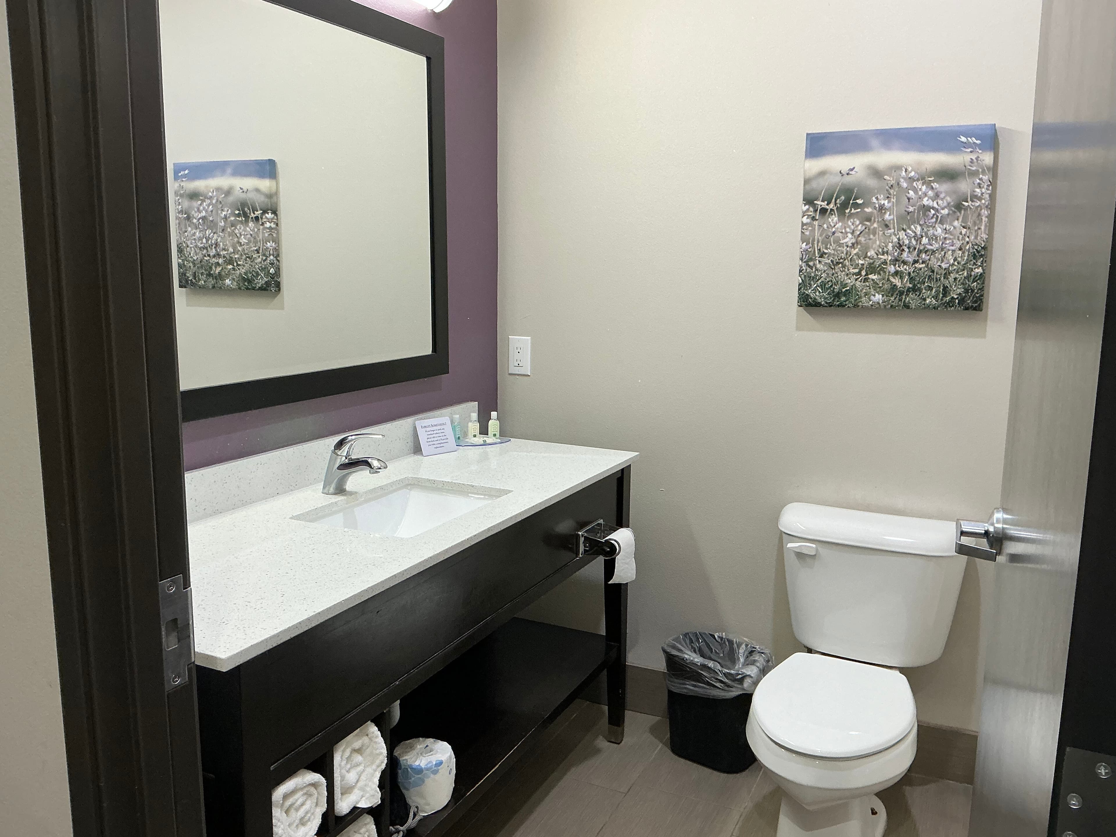 Quality Inn & Suites Colorado City, TX — 18