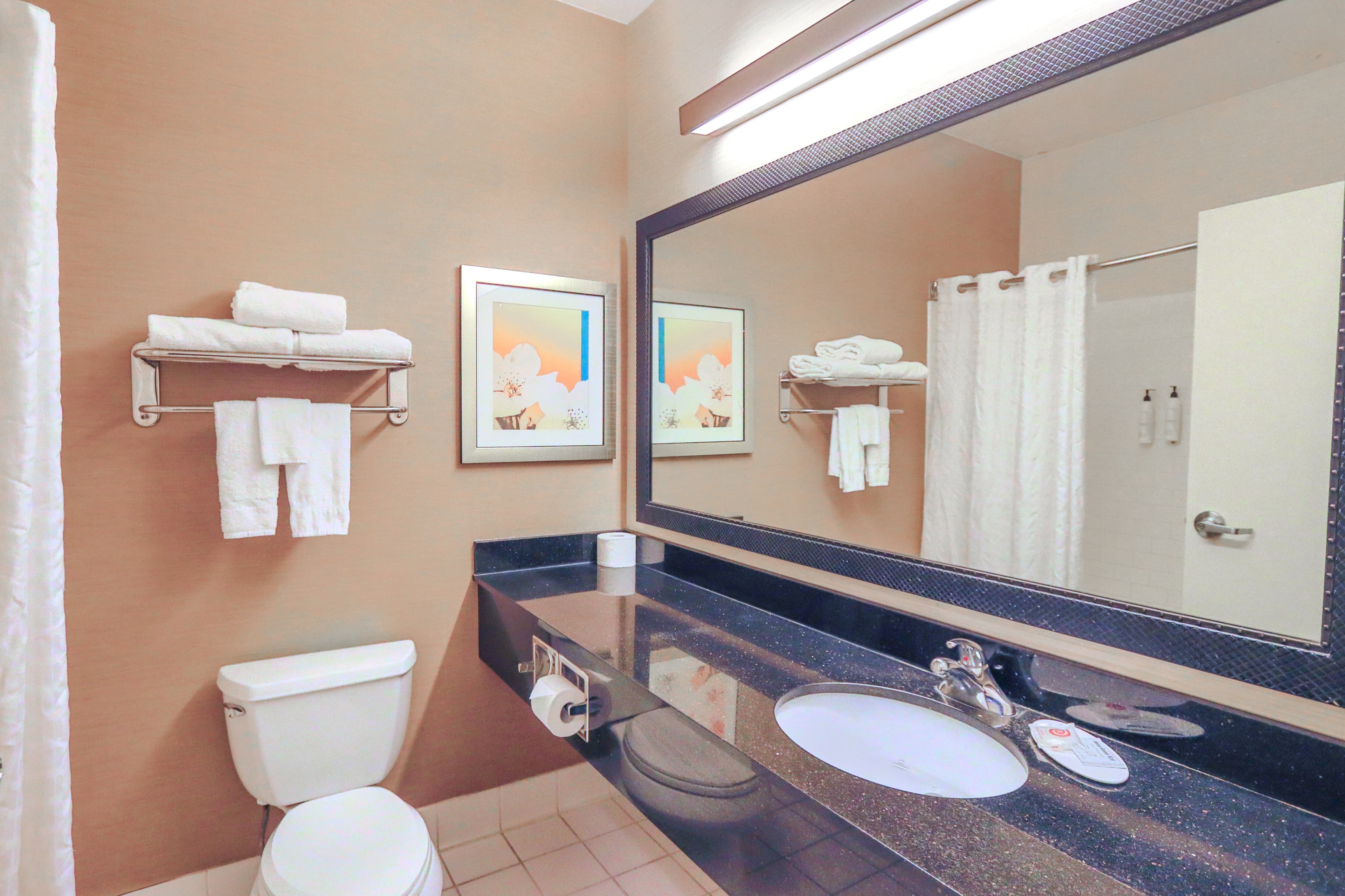 Comfort Inn & Suites Houston North - Spring — 13