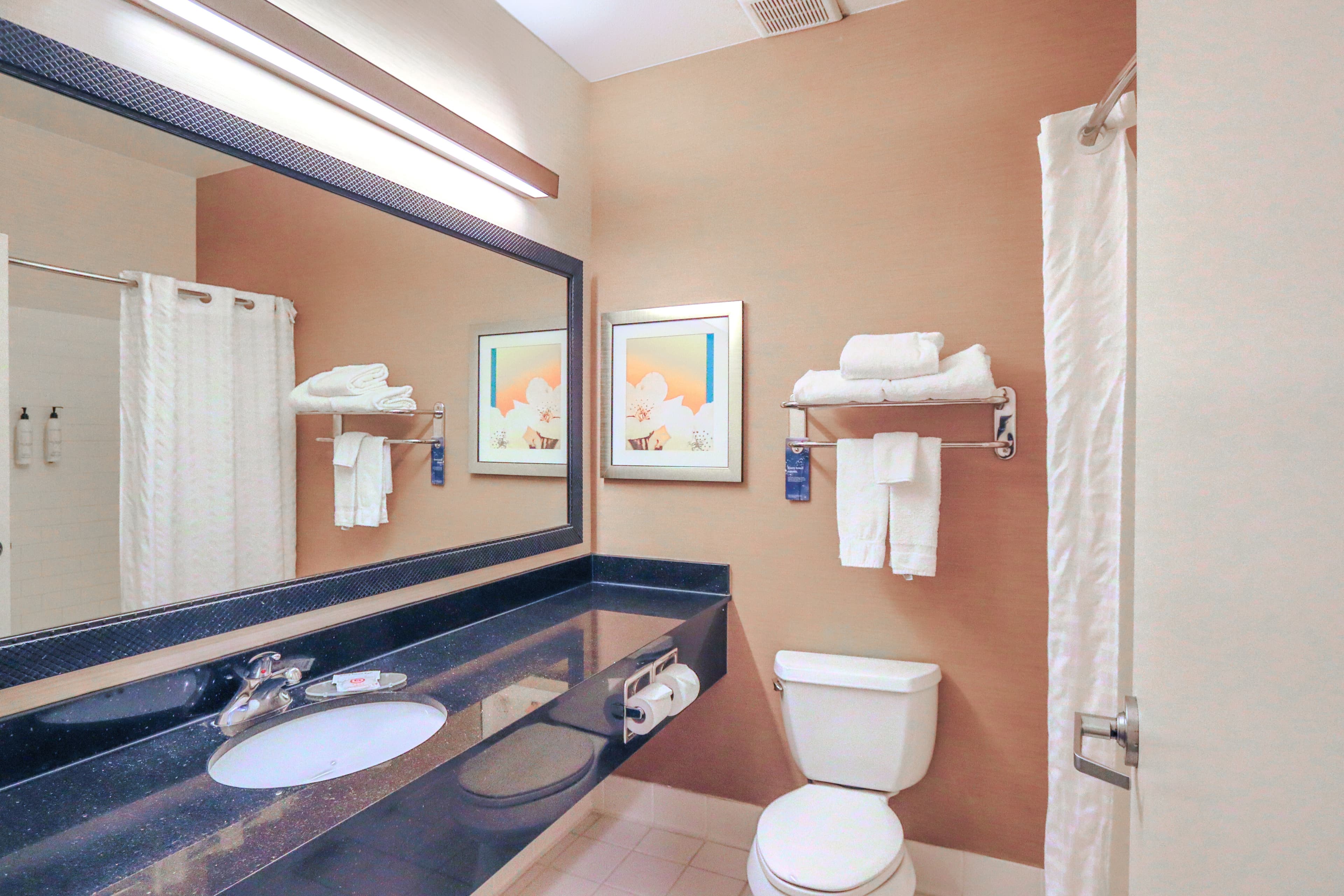Comfort Inn & Suites Houston North - Spring — 9