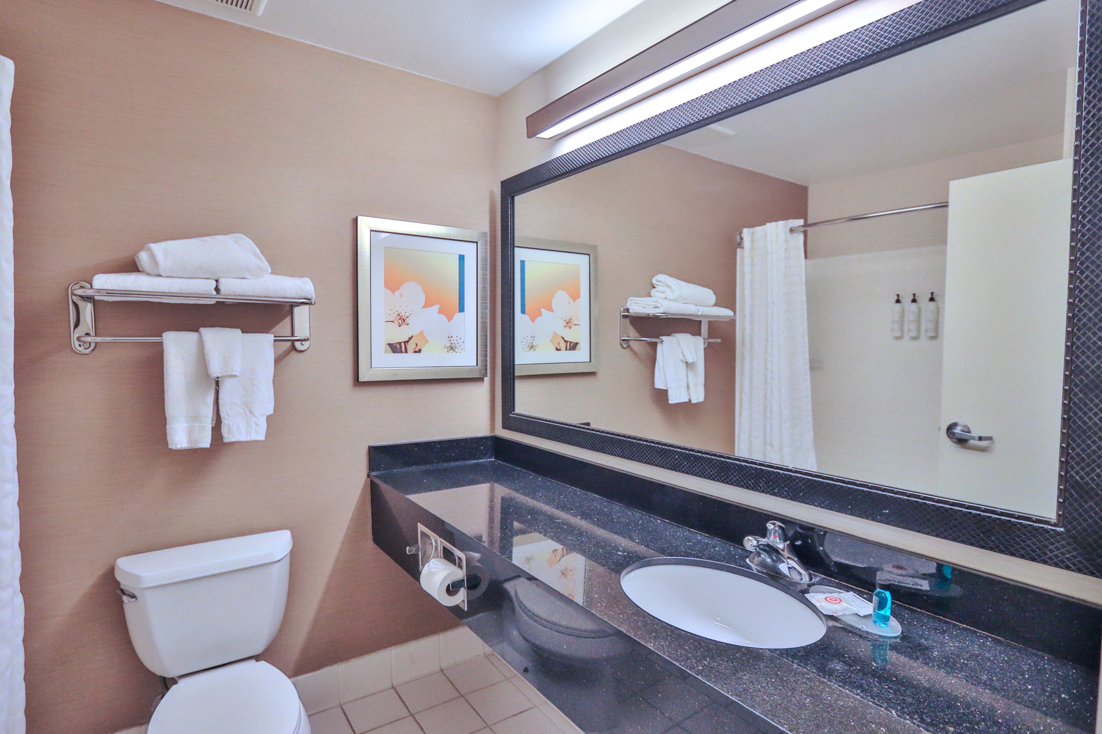 Comfort Inn & Suites Houston North - Spring - Image 5