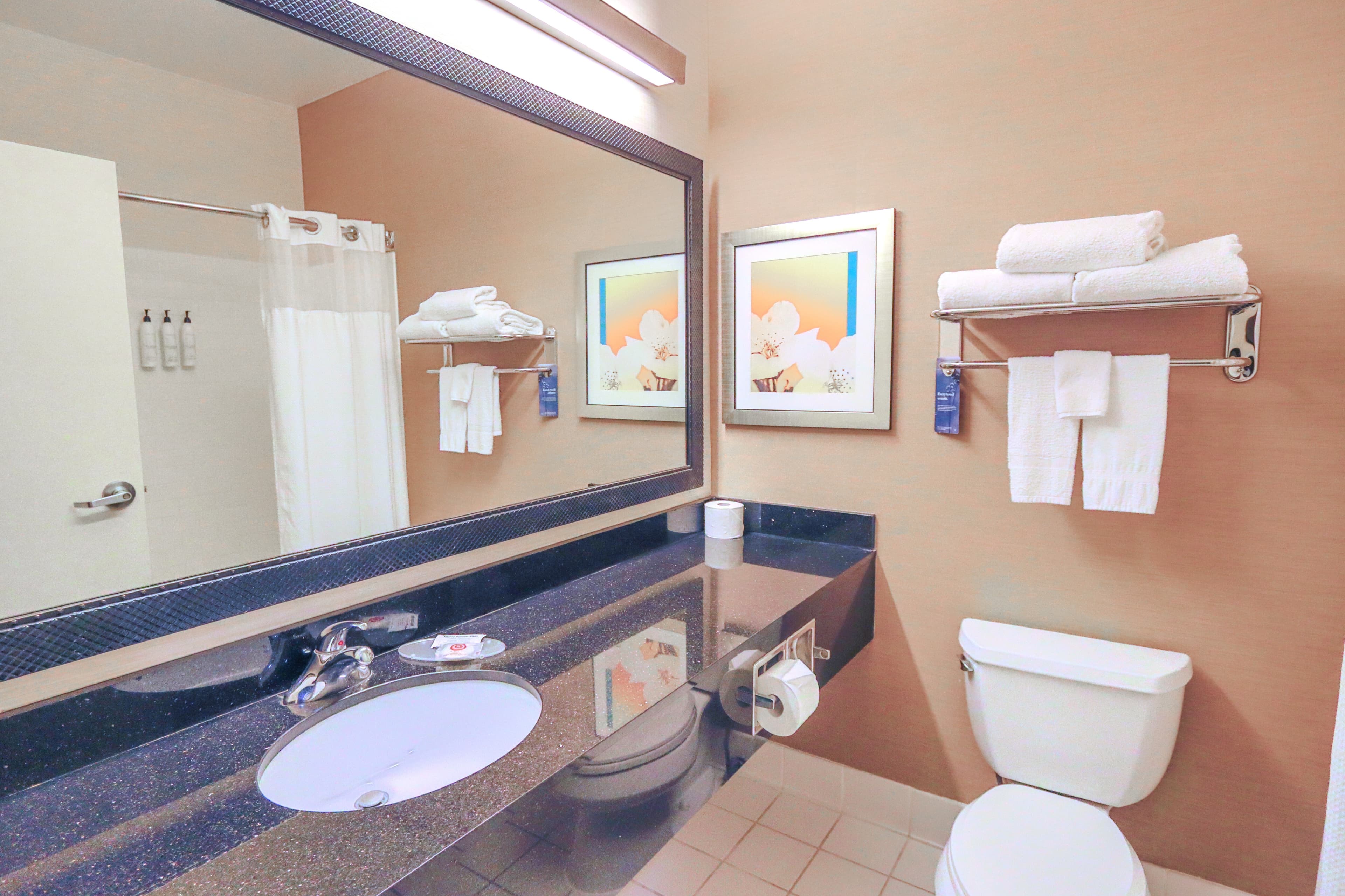 Comfort Inn & Suites Houston North - Spring — 37