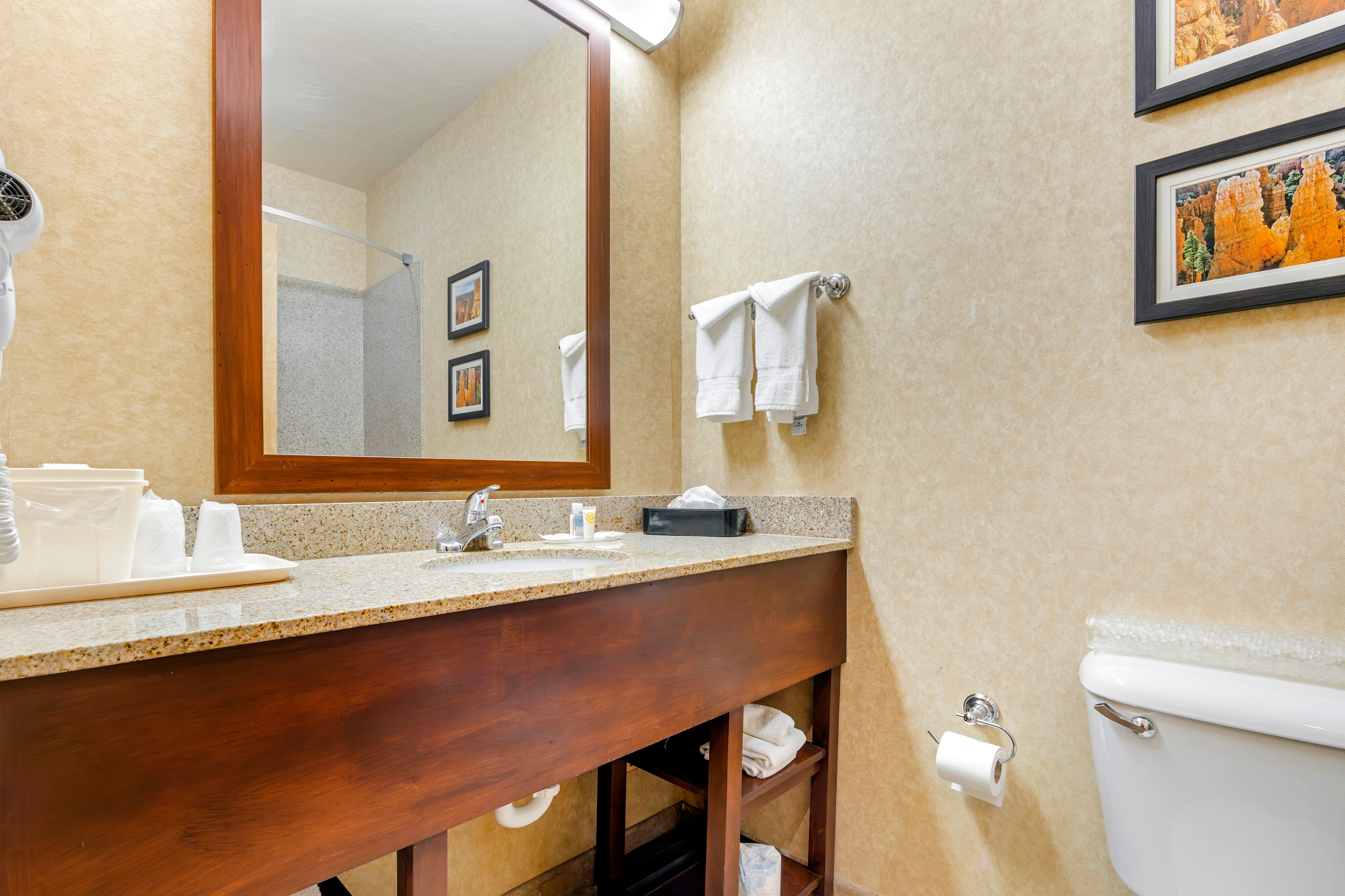Comfort Inn at Convention Center — 14