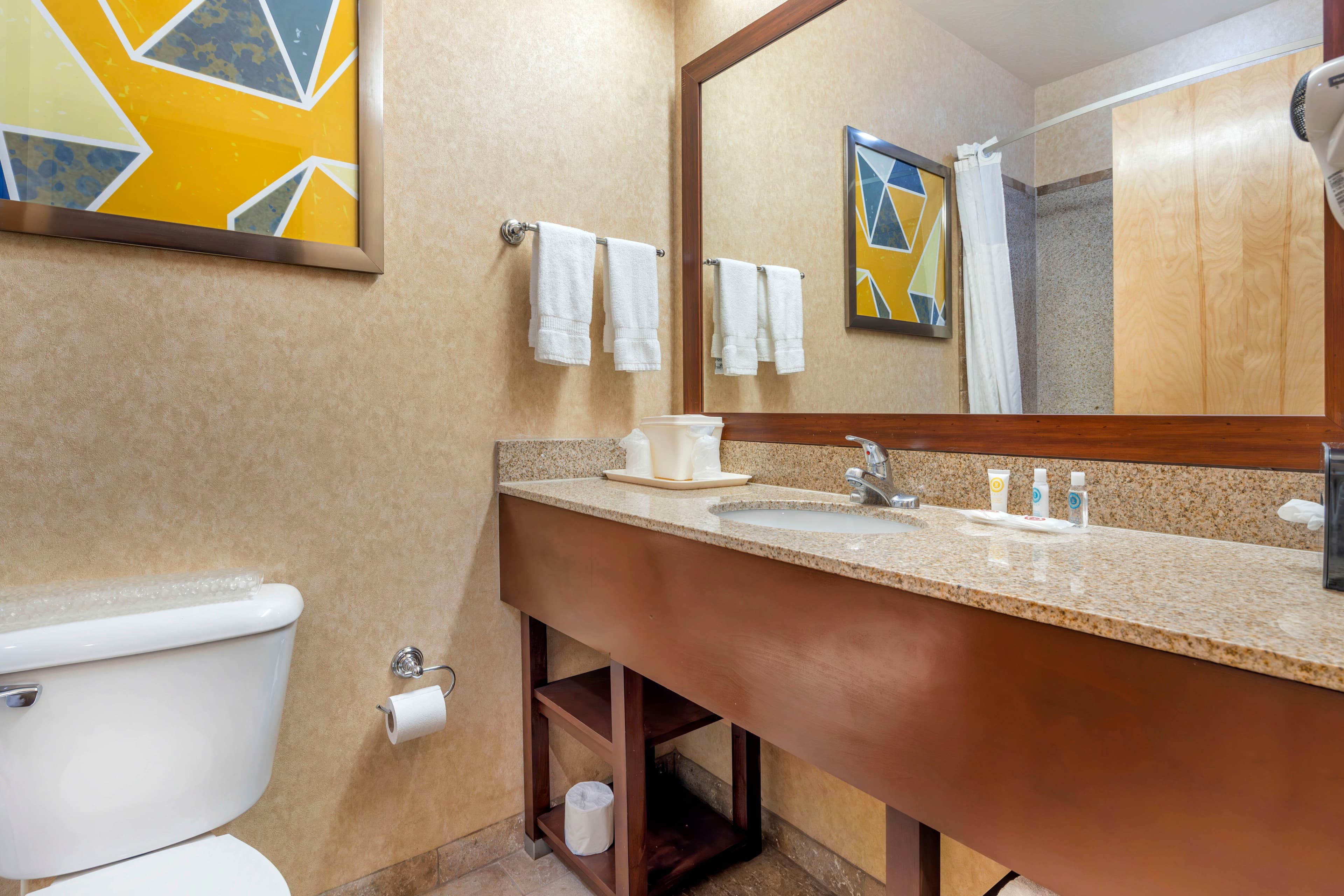 Comfort Inn at Convention Center — 9