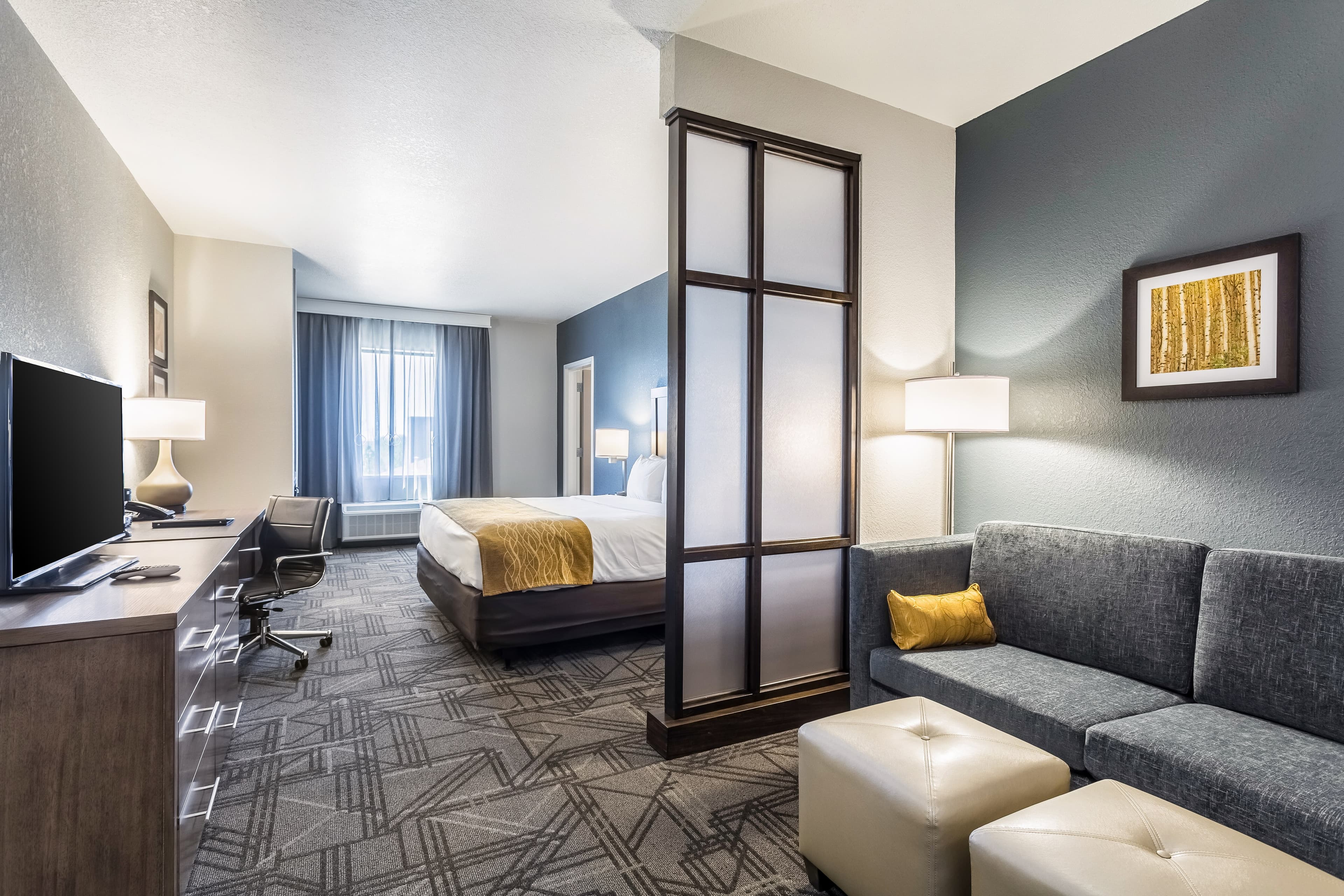 Comfort Inn & Suites Salt Lake City Airport — 37