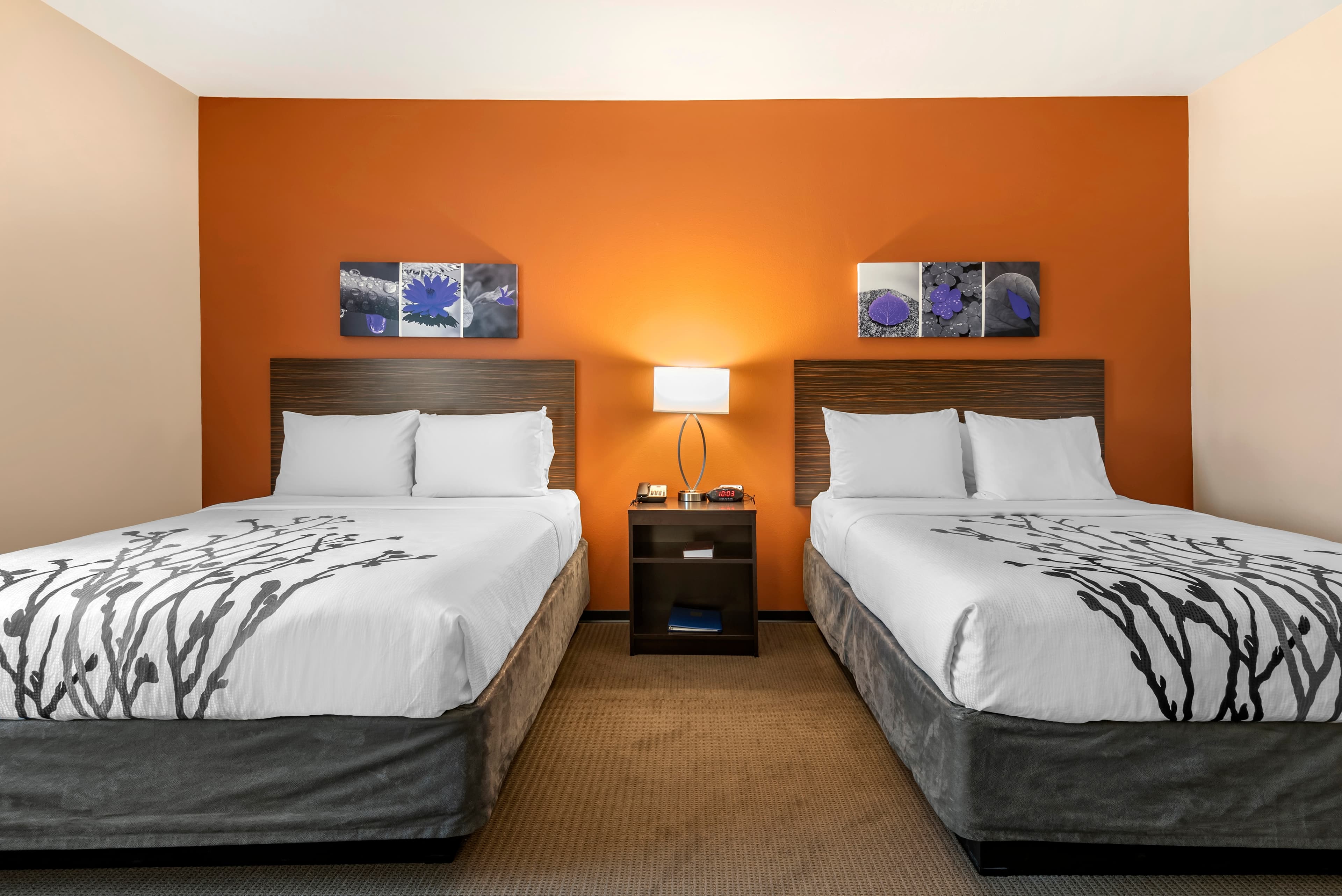 Sleep Inn & Suites Moab near Arches National Park — 3