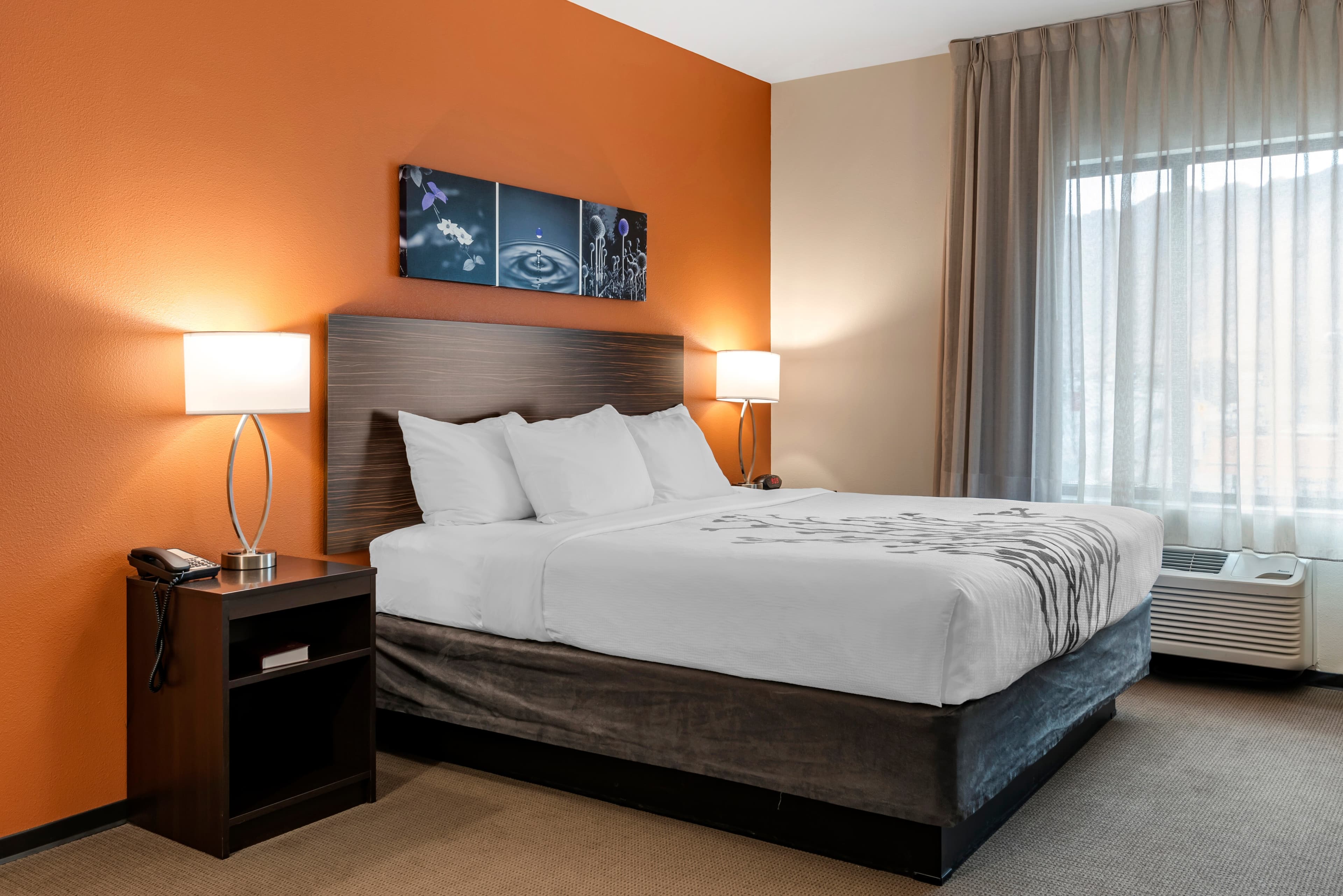 Sleep Inn & Suites Moab near Arches National Park — 6