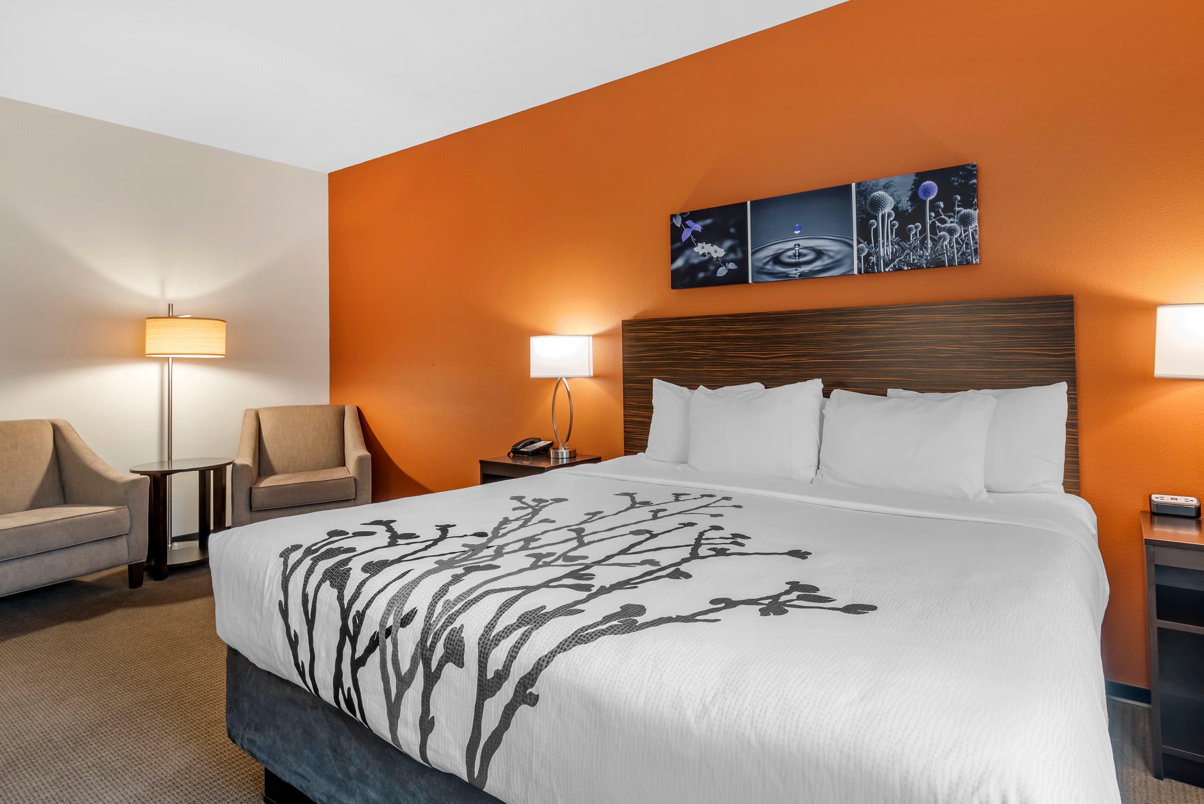Sleep Inn & Suites Moab near Arches National Park — 7