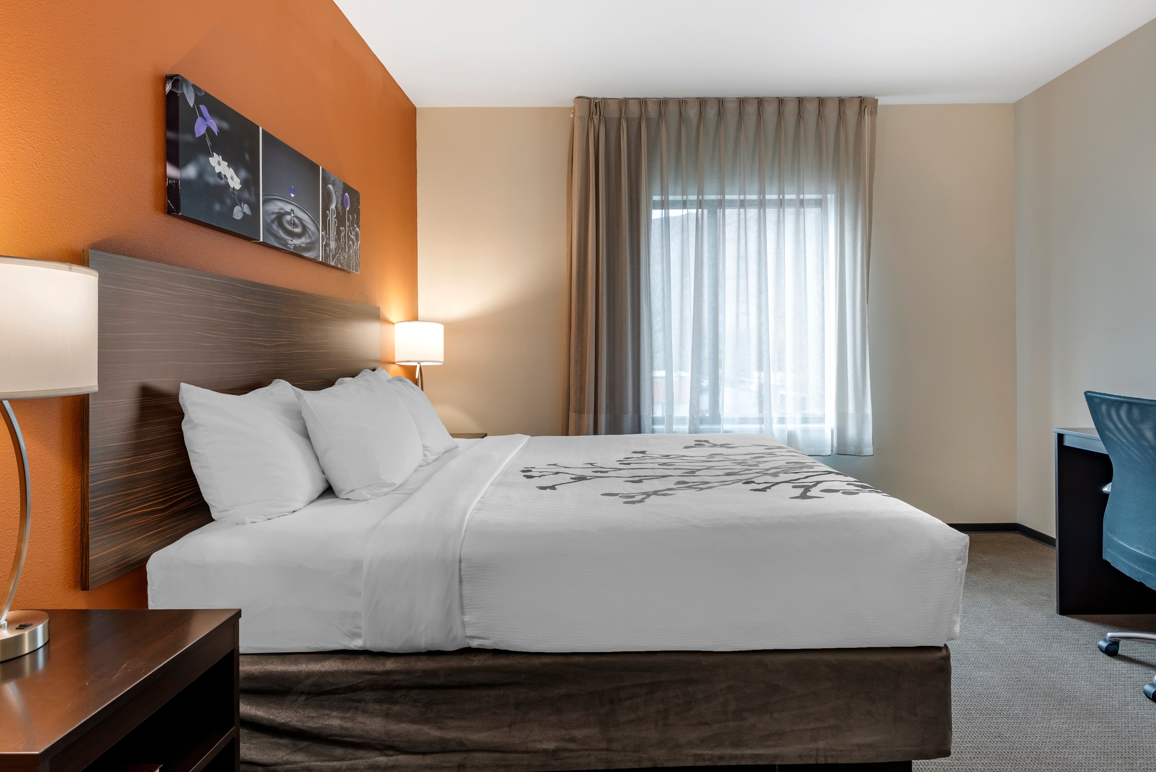 Sleep Inn & Suites Moab near Arches National Park — 9