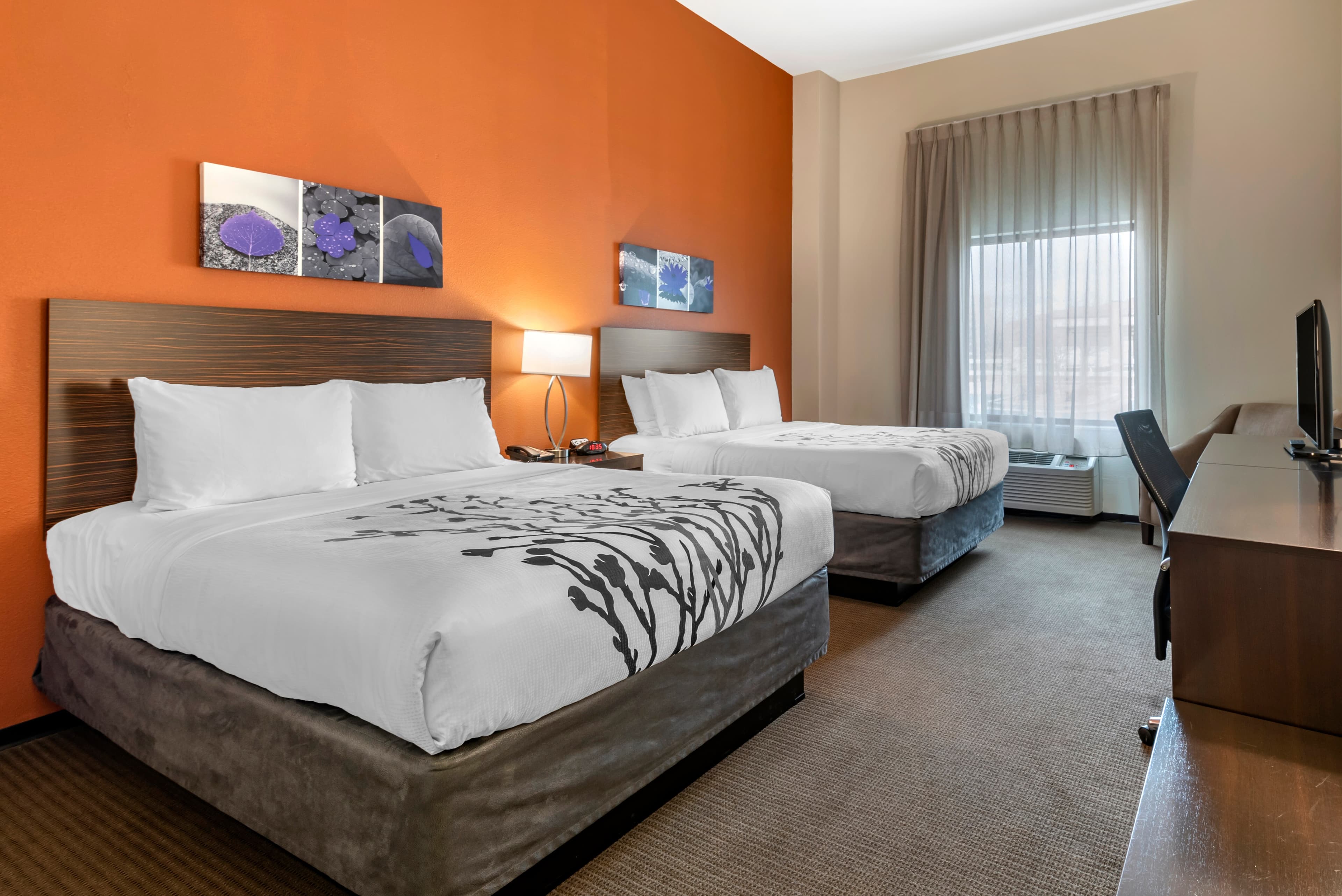 Sleep Inn & Suites Moab near Arches National Park — 11